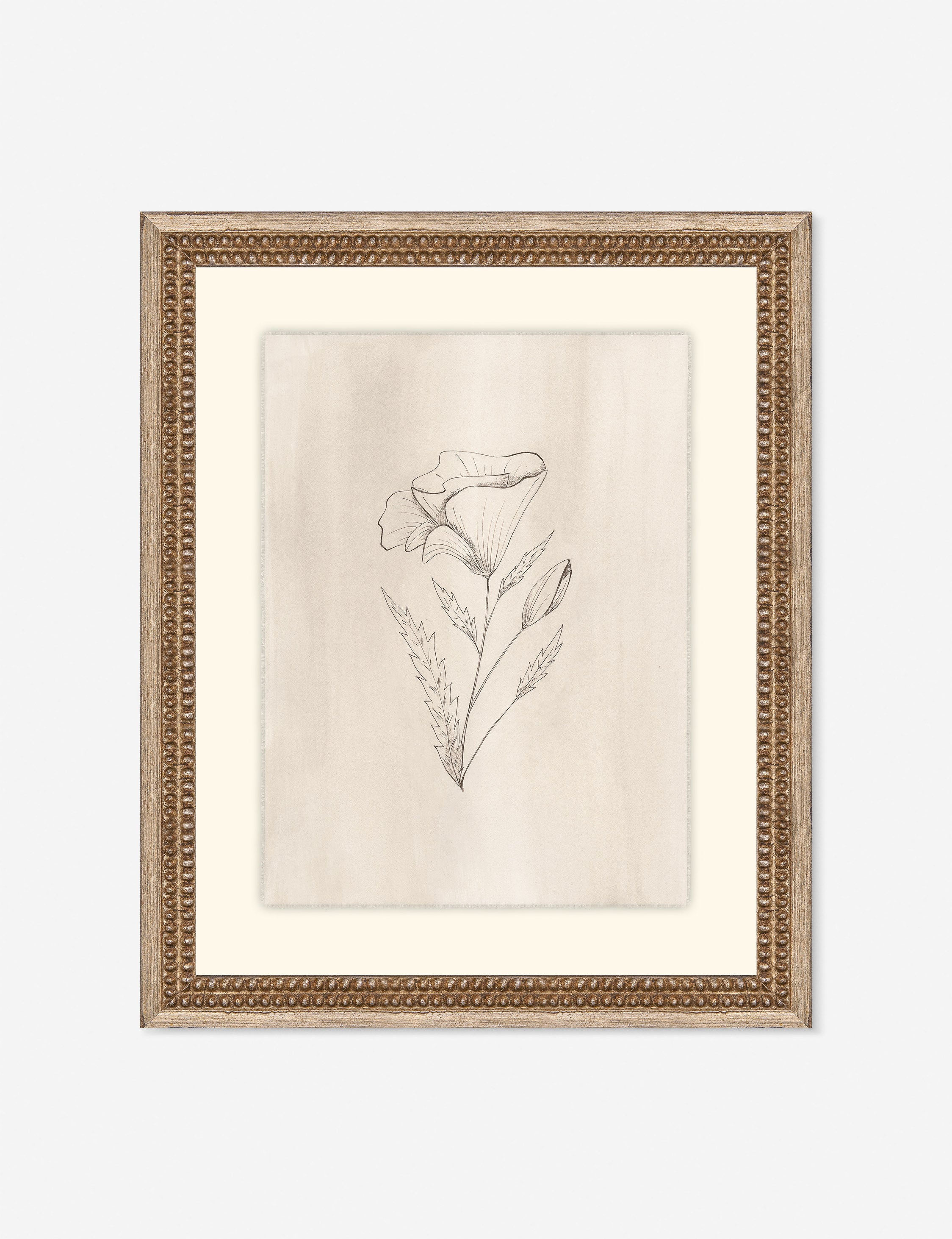 Lulu and Georgia - Elegant Botanical III Wall Art by Makai Howell