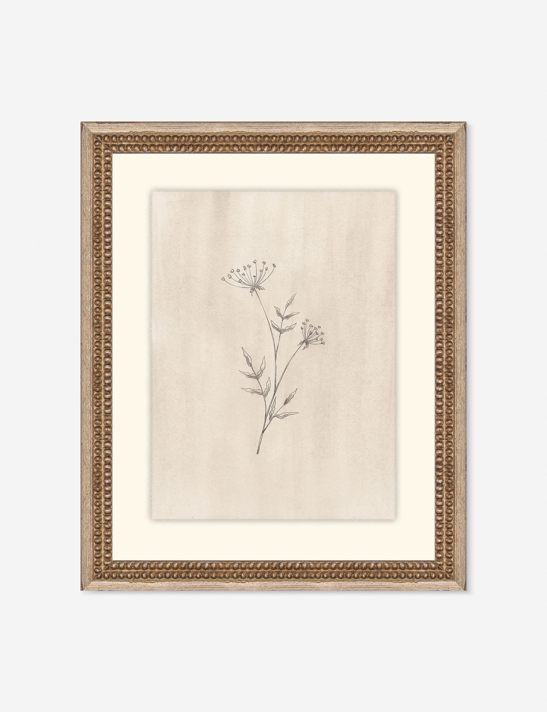 Lulu and Georgia - Elegant Botanical IV Wall Art by Makai Howell