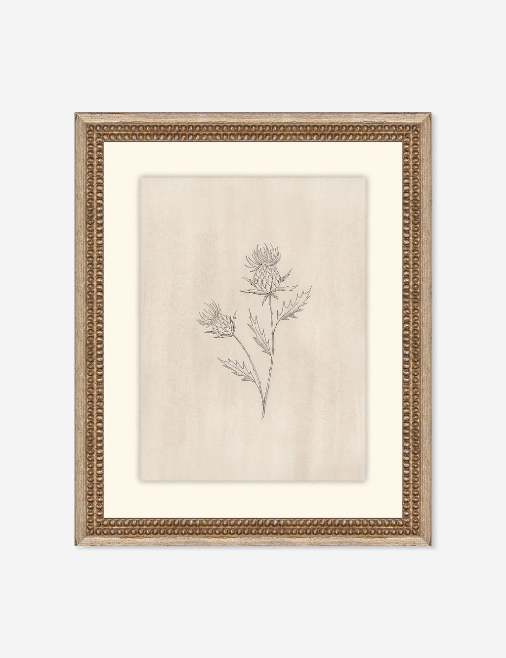 Lulu and Georgia - Elegant Botanical V Wall Art by Makai Howell