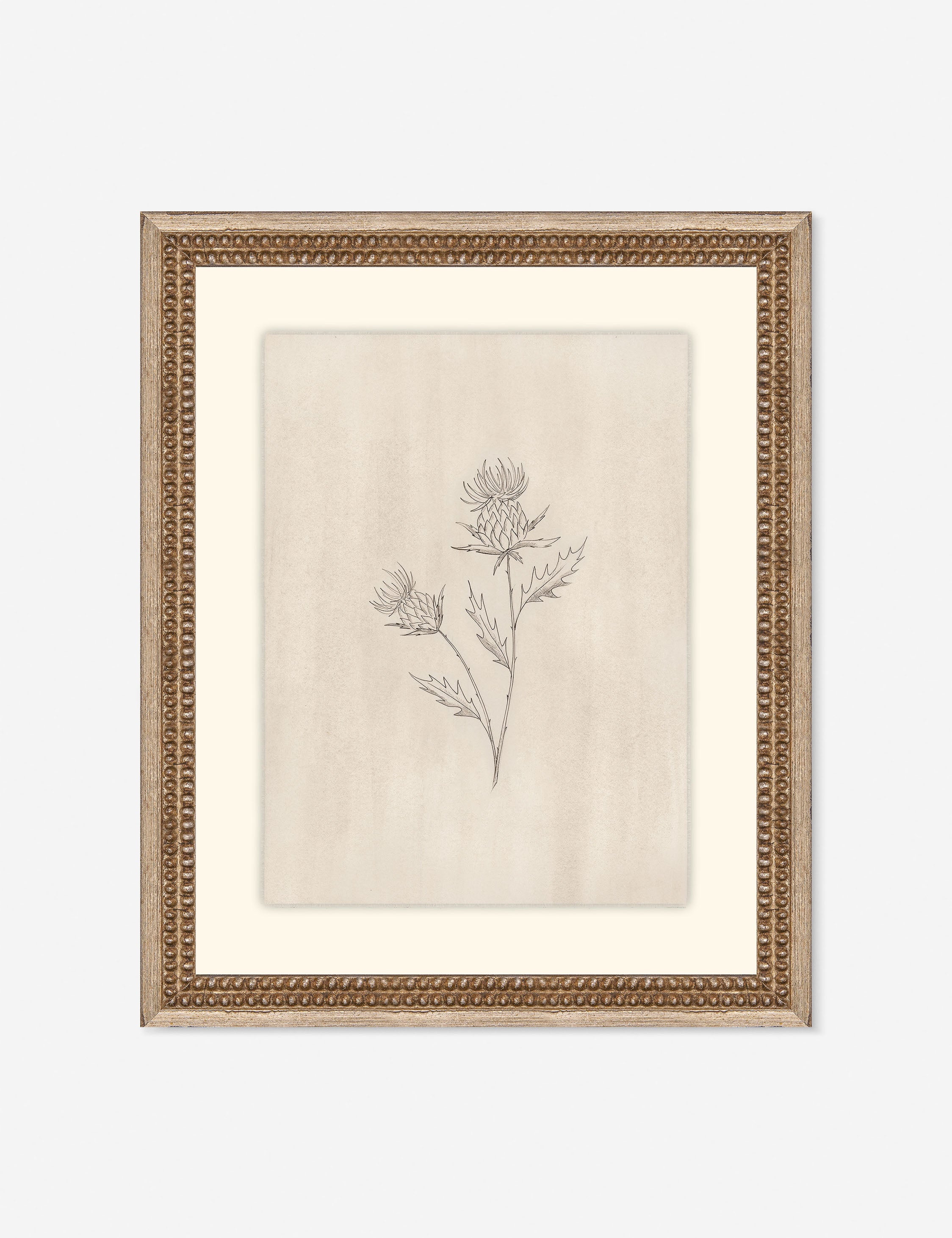Lulu and Georgia - Elegant Botanical V Wall Art by Makai Howell