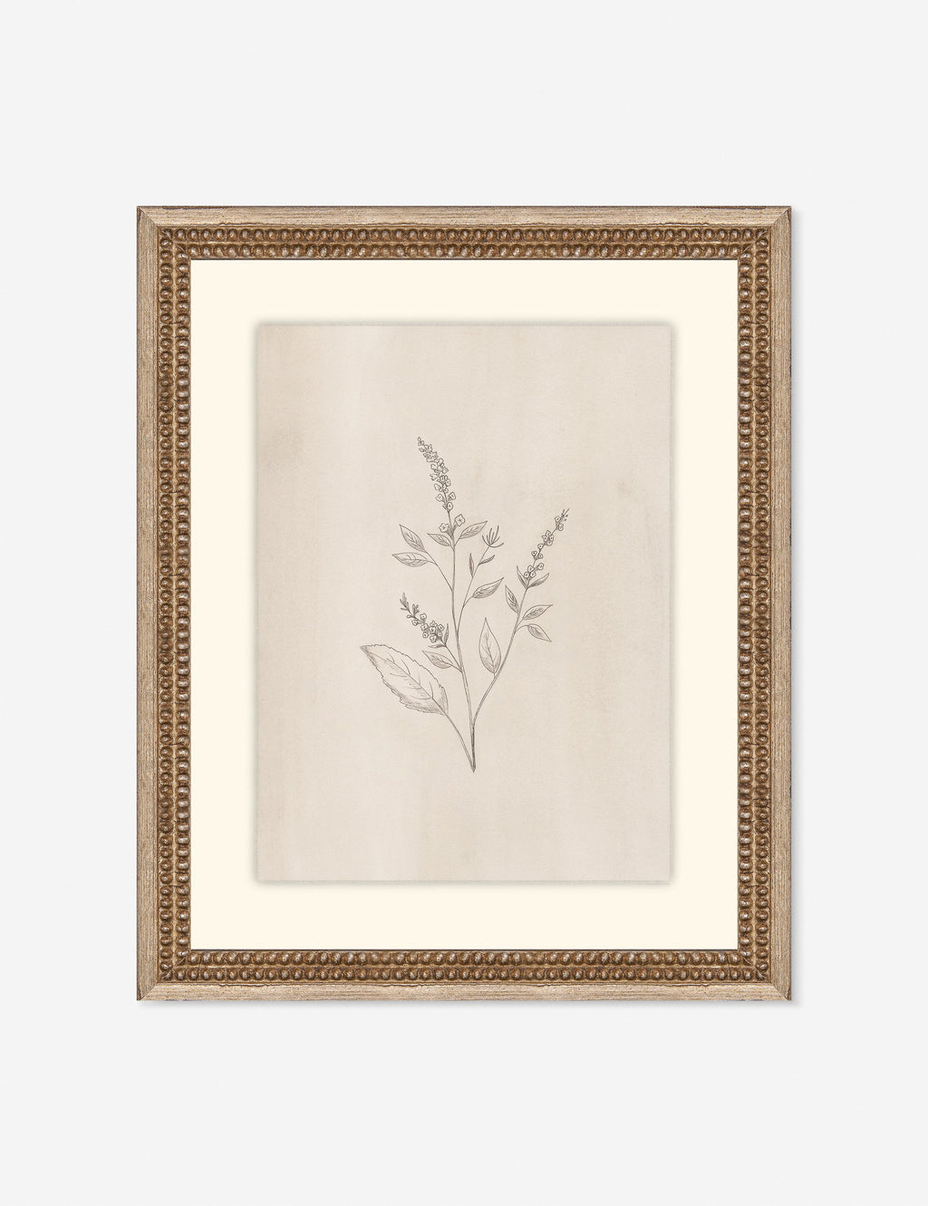 Lulu and Georgia - Elegant Botanical VI Wall Art by Makai Howell