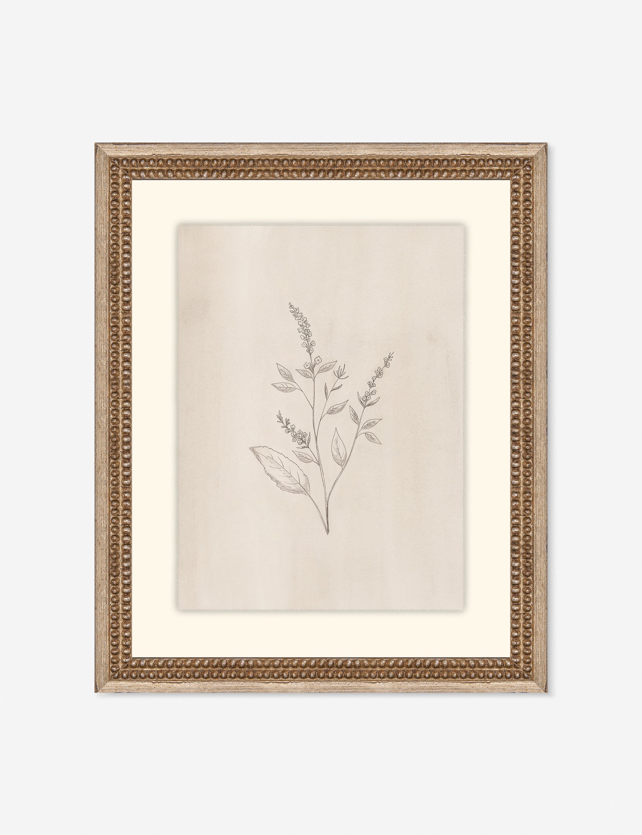 Lulu and Georgia - Elegant Botanical VI Wall Art by Makai Howell