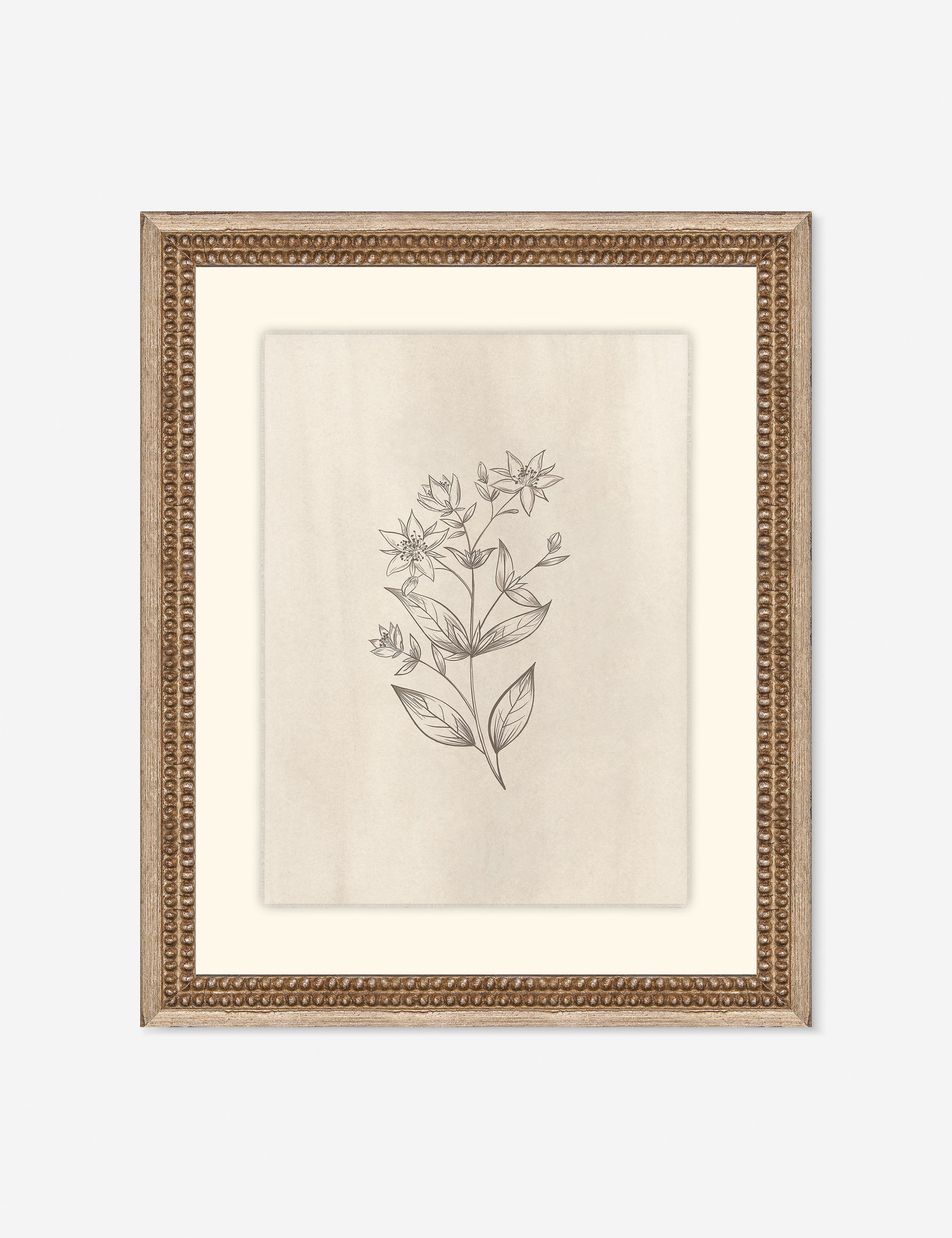 Lulu and Georgia - Elegant Botanical VII Wall Art by Makai Howell