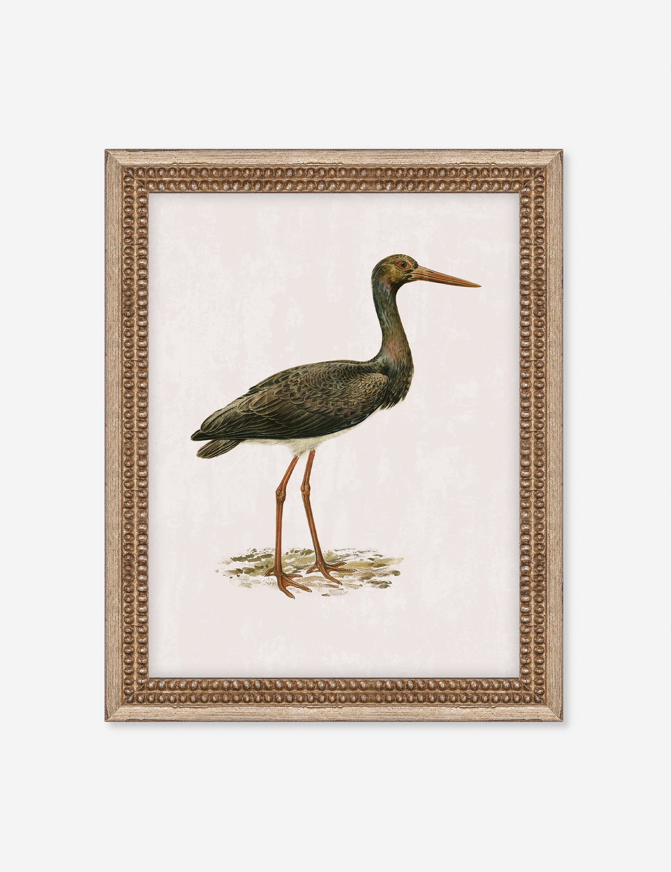 Lulu and Georgia - Heron Friend I Wall Art by Old World