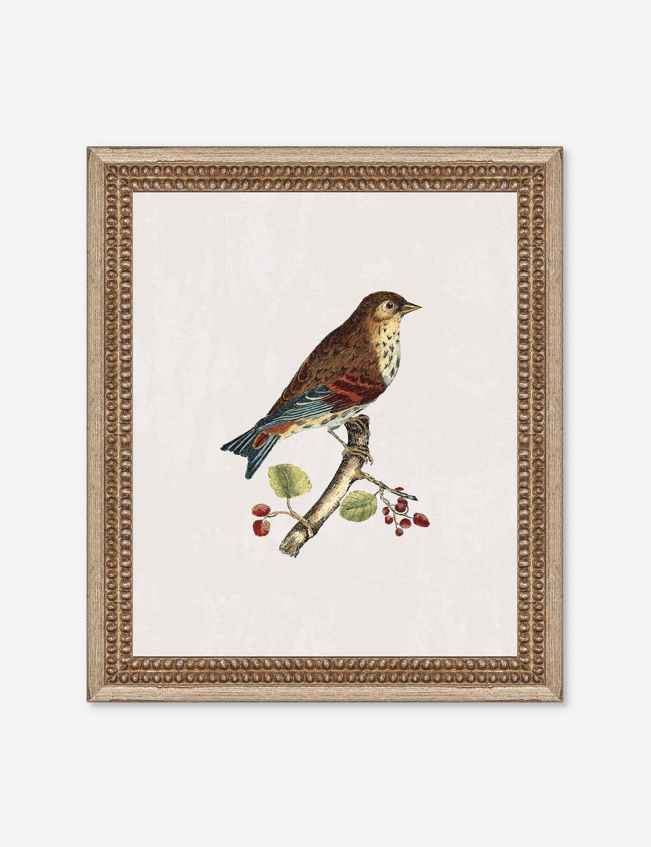 Lulu and Georgia - Small Birds I Wall Art by Old World