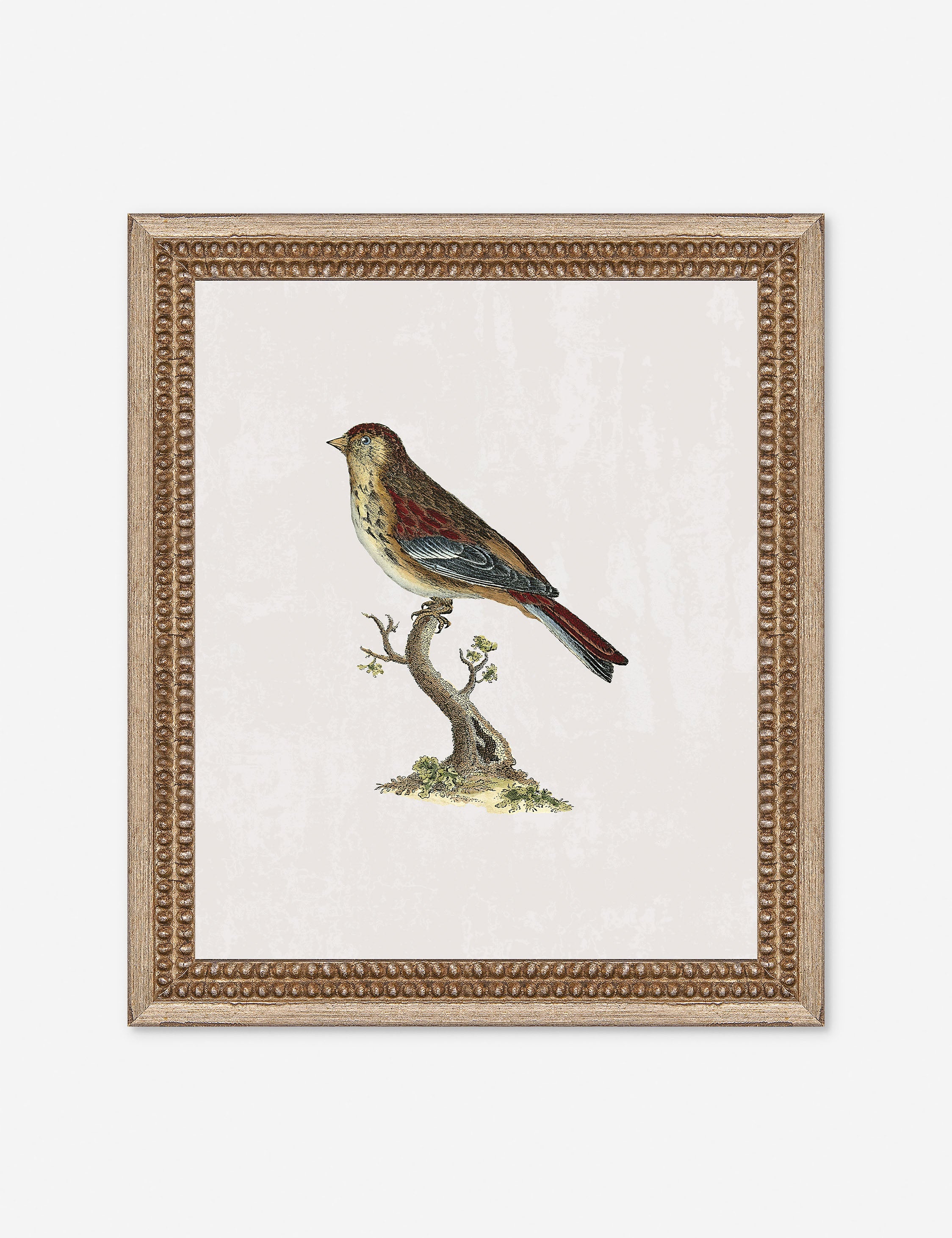 Lulu and Georgia - Small Birds II Wall Art by Old World