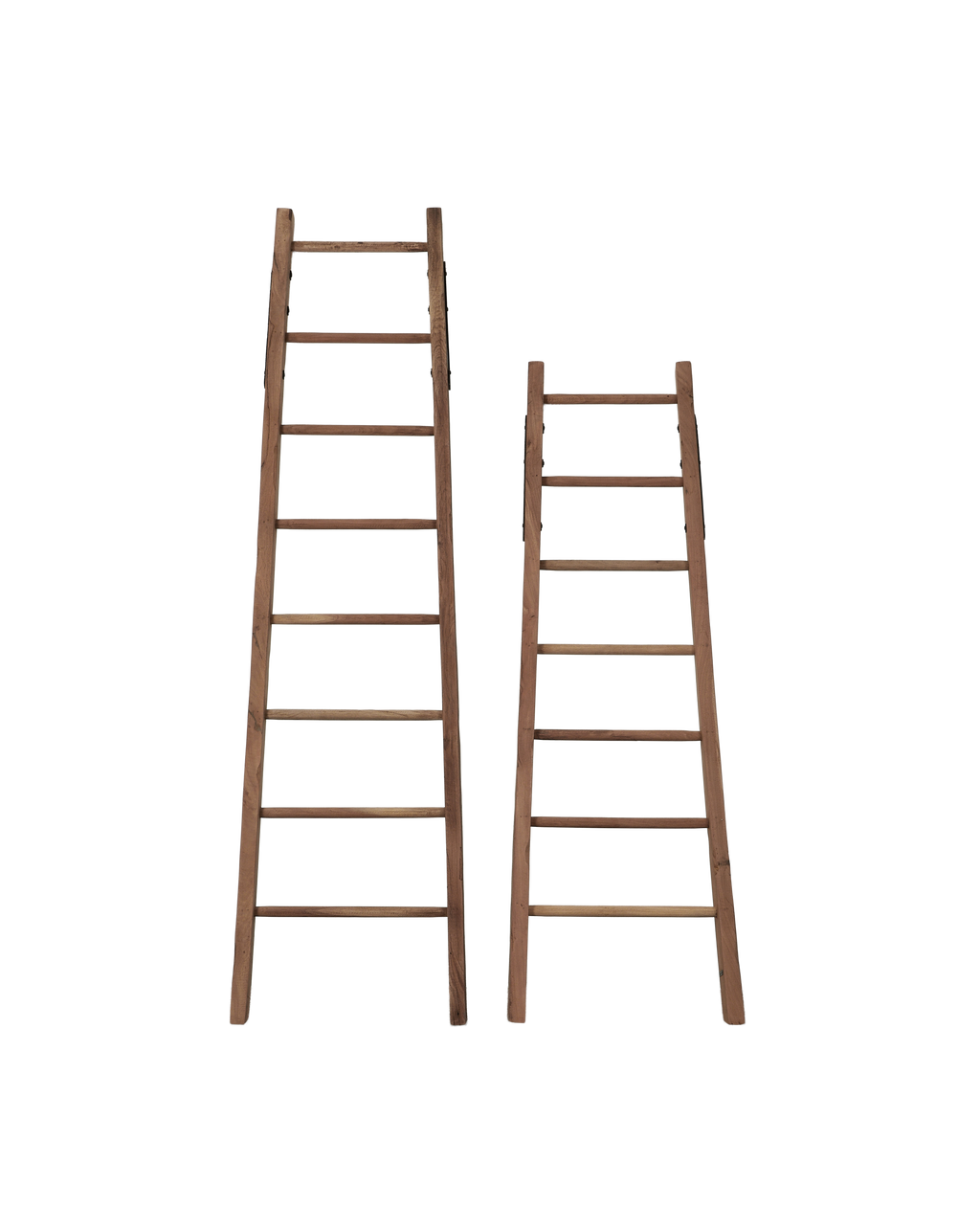 Olive Ateliers - Orchard Ladder
