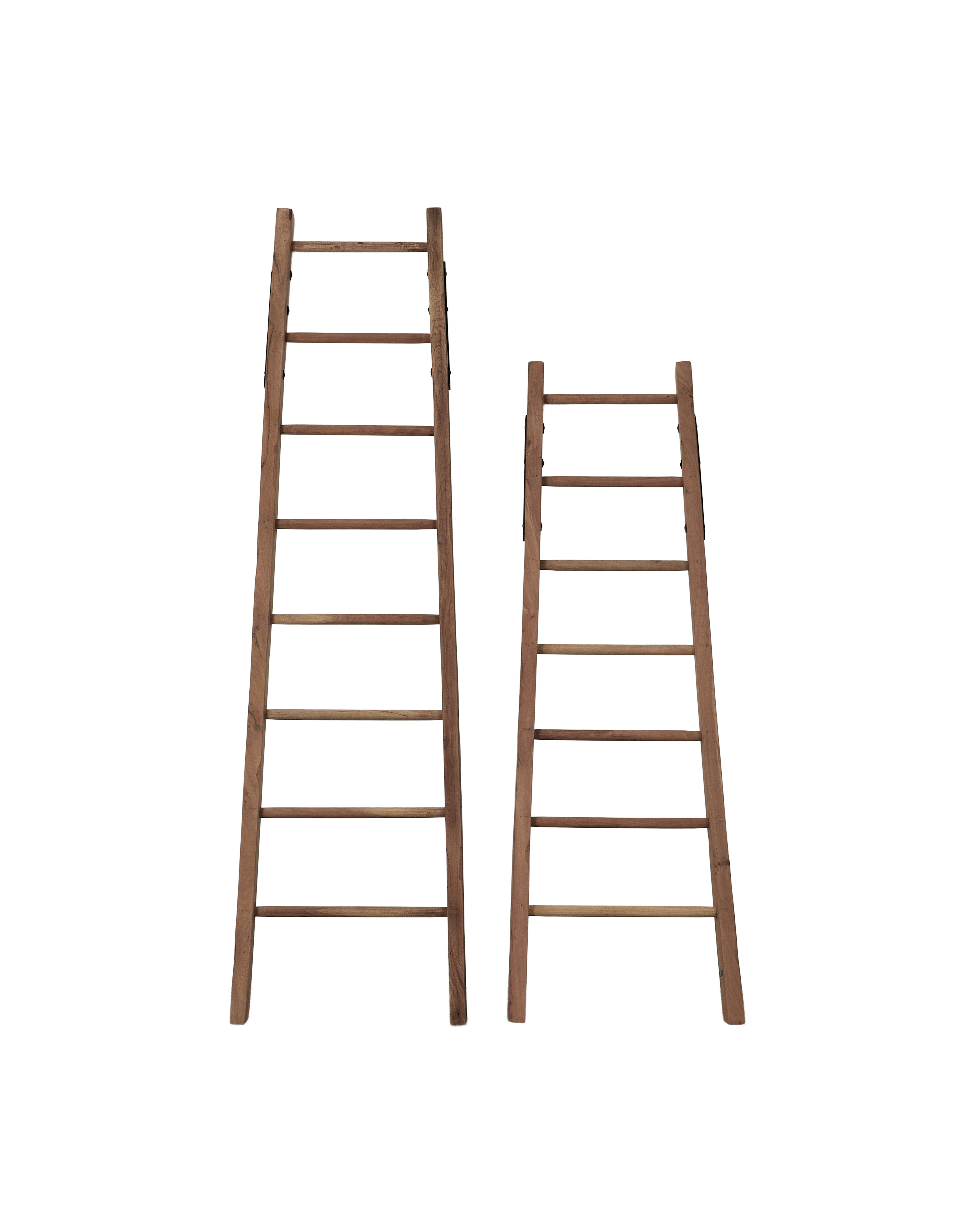 Olive Ateliers - Orchard Ladder