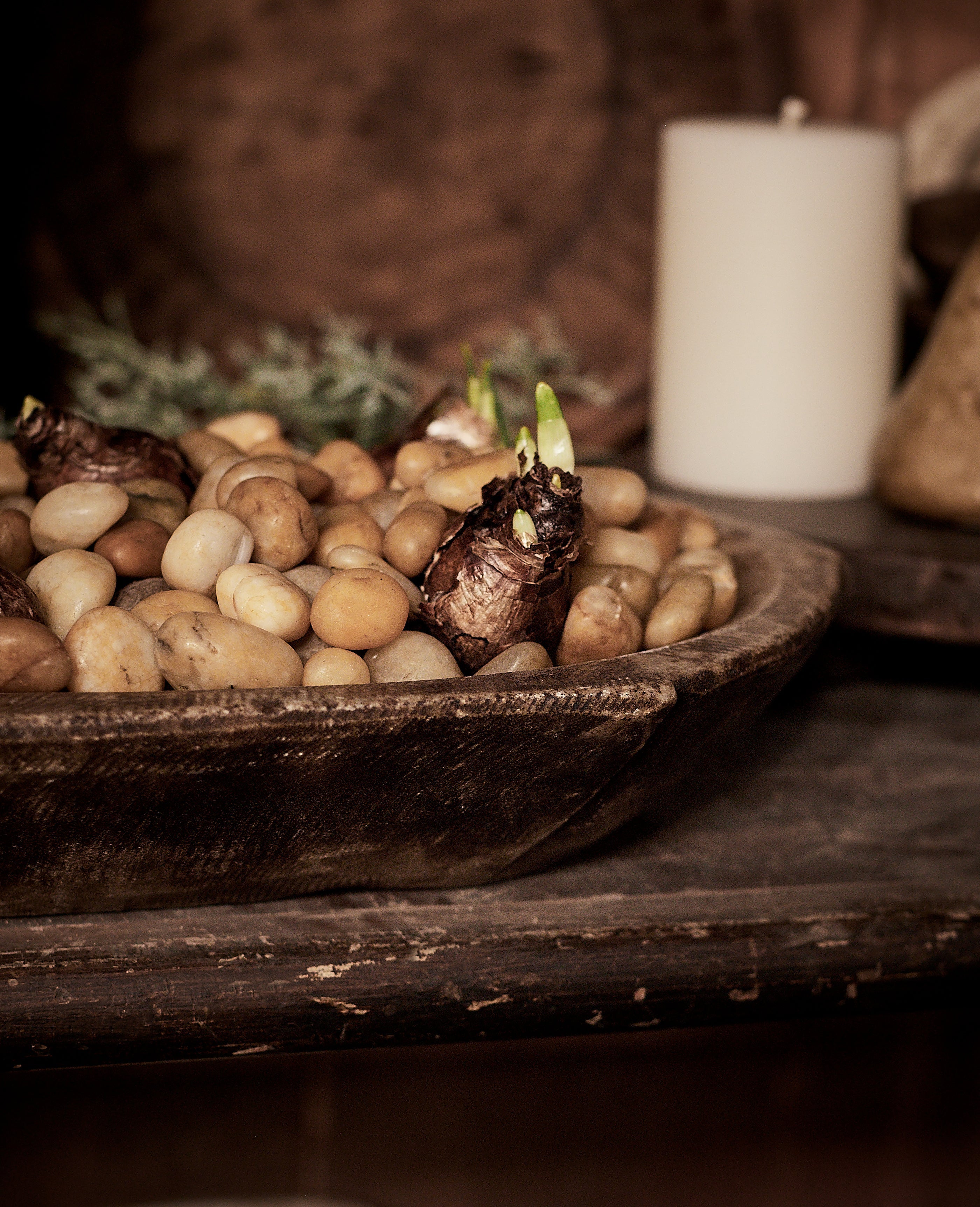 Olive Ateliers - The Bloomist Bundle