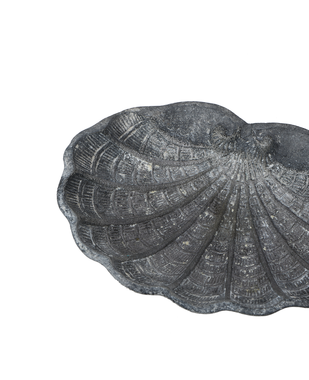 Olive Ateliers - Small Shell Vide Poche