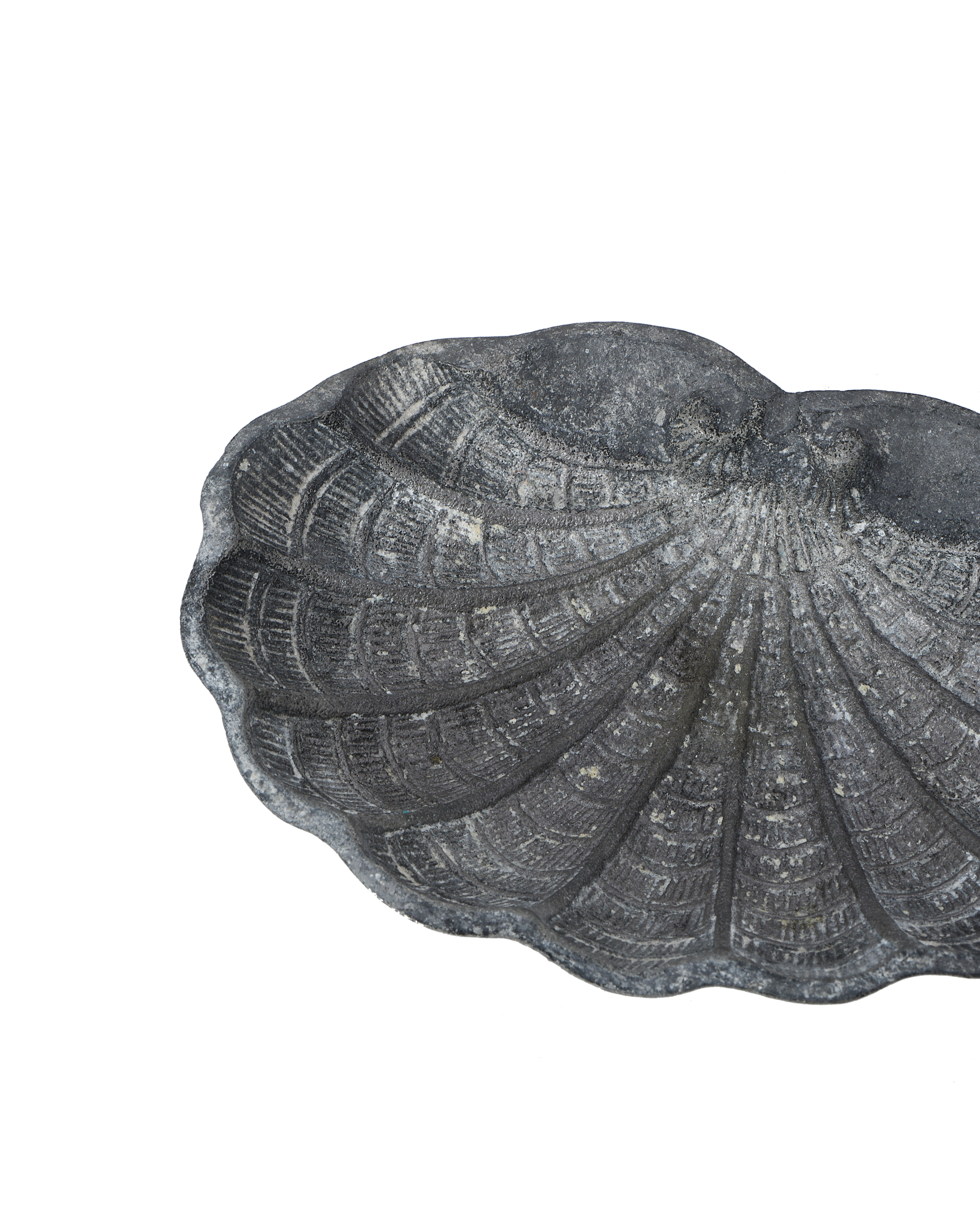 Olive Ateliers - Small Shell Vide Poche