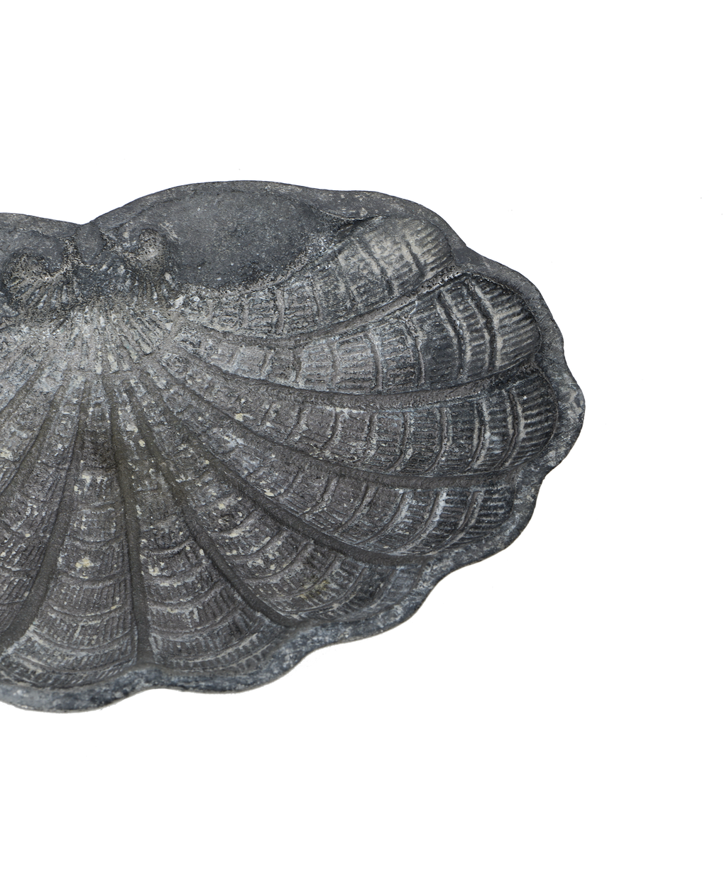 Olive Ateliers - Small Shell Vide Poche