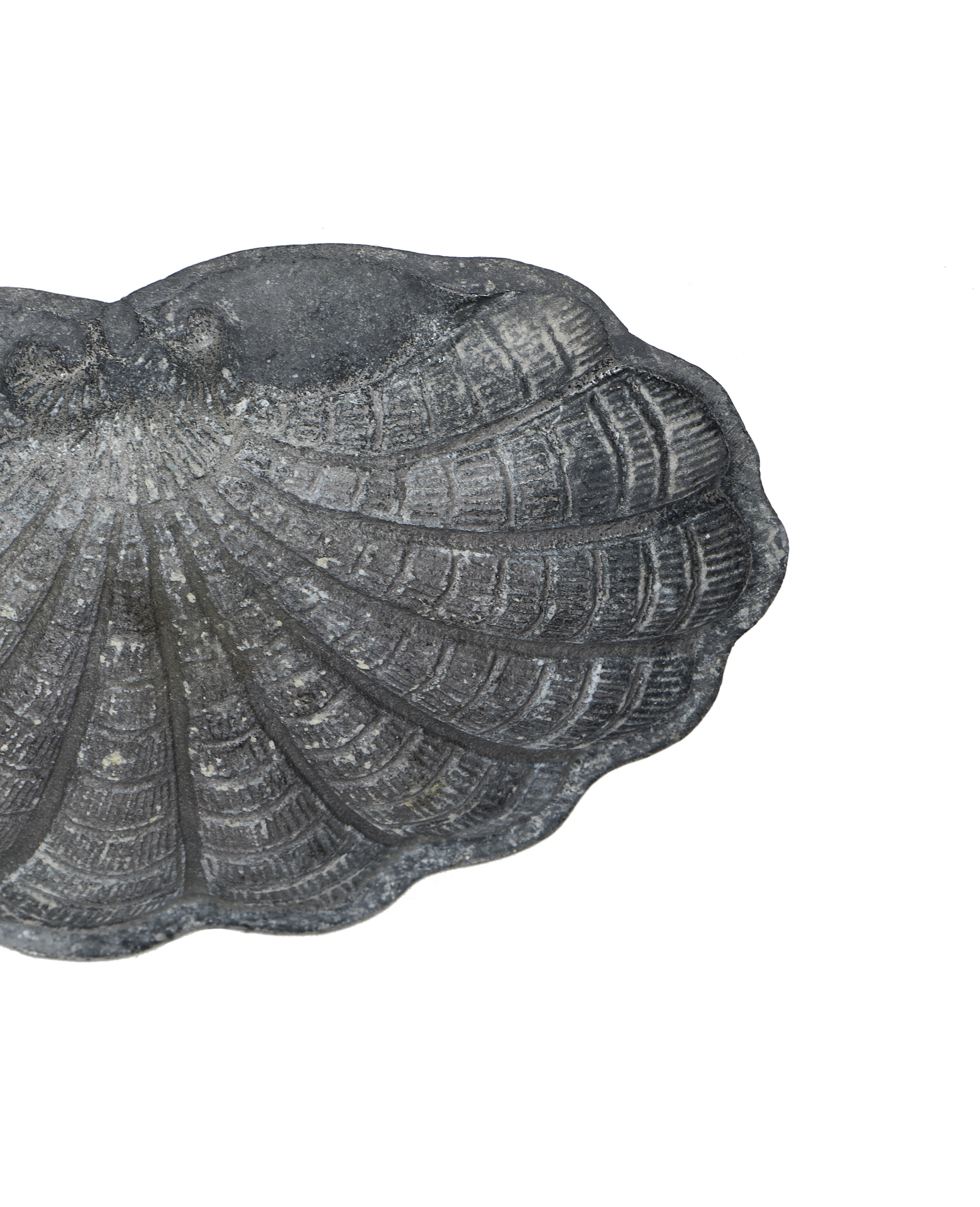 Olive Ateliers - Small Shell Vide Poche