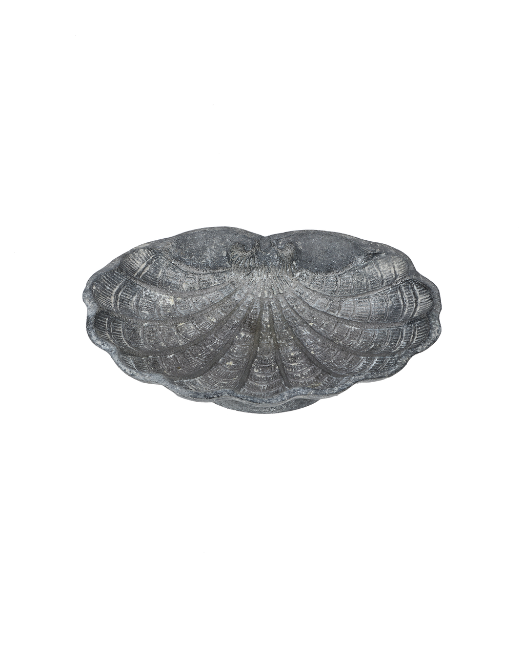 Olive Ateliers - Small Shell Vide Poche