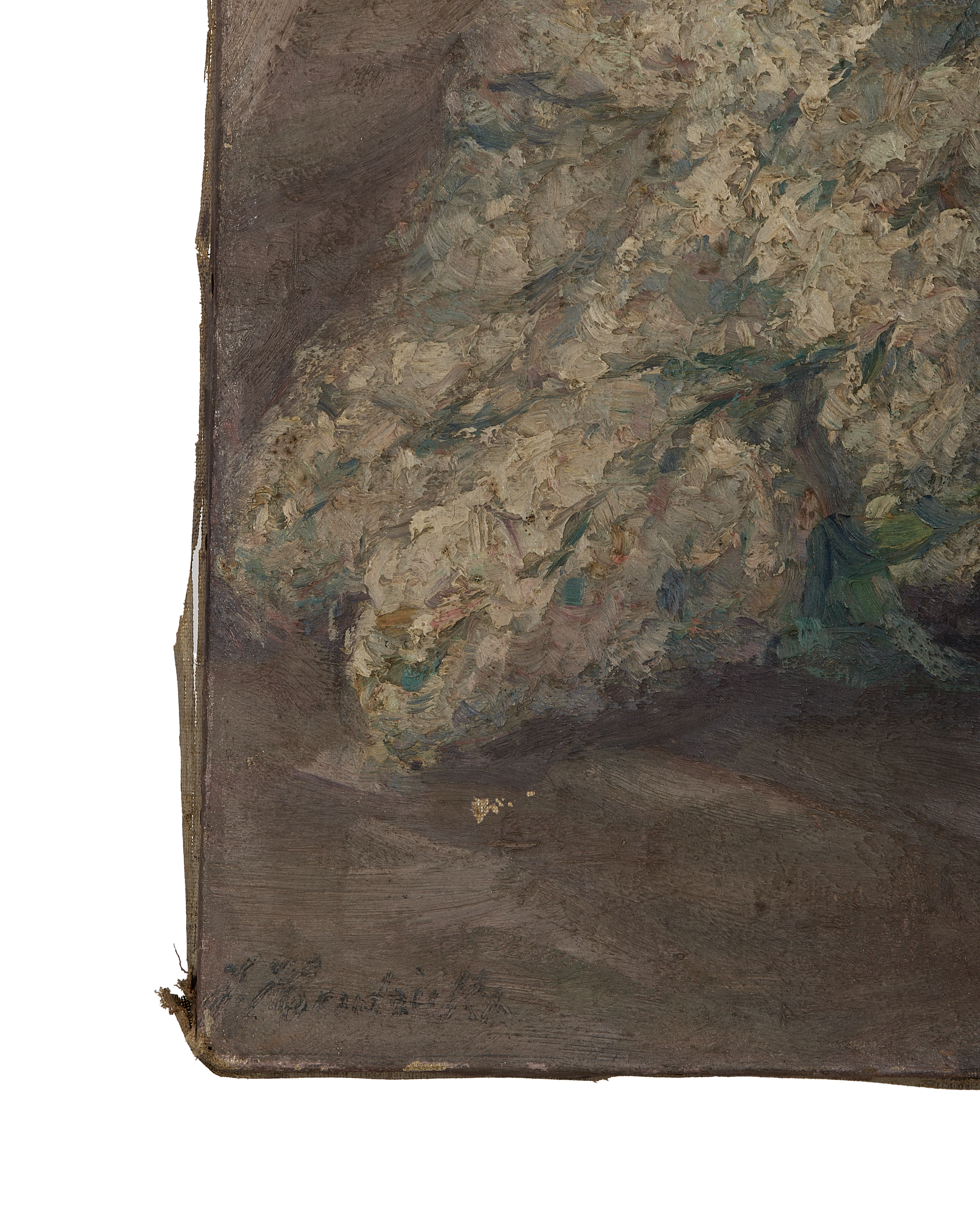 Olive Ateliers - Still Life Painting