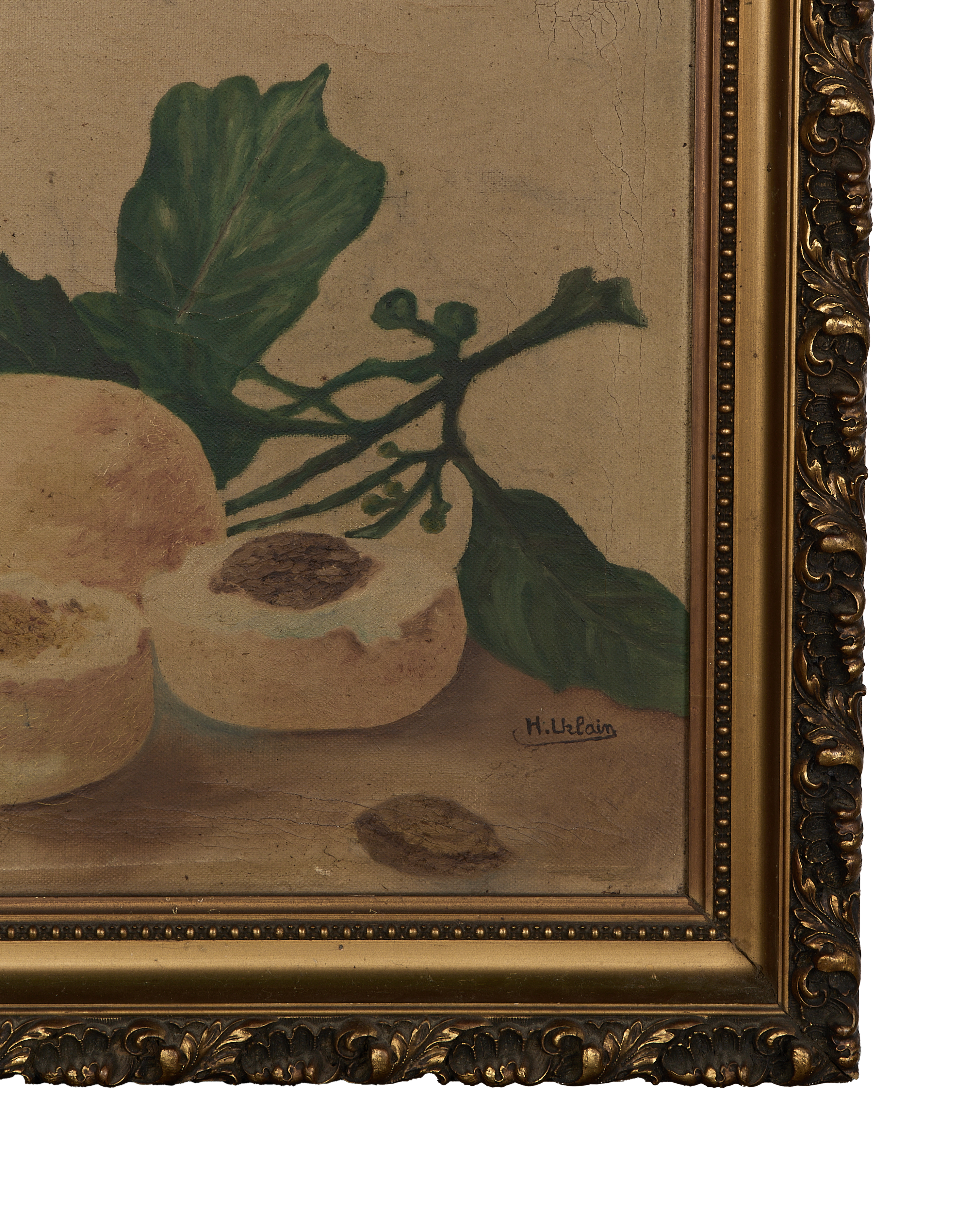 Olive Ateliers - Framed Still Life Painting