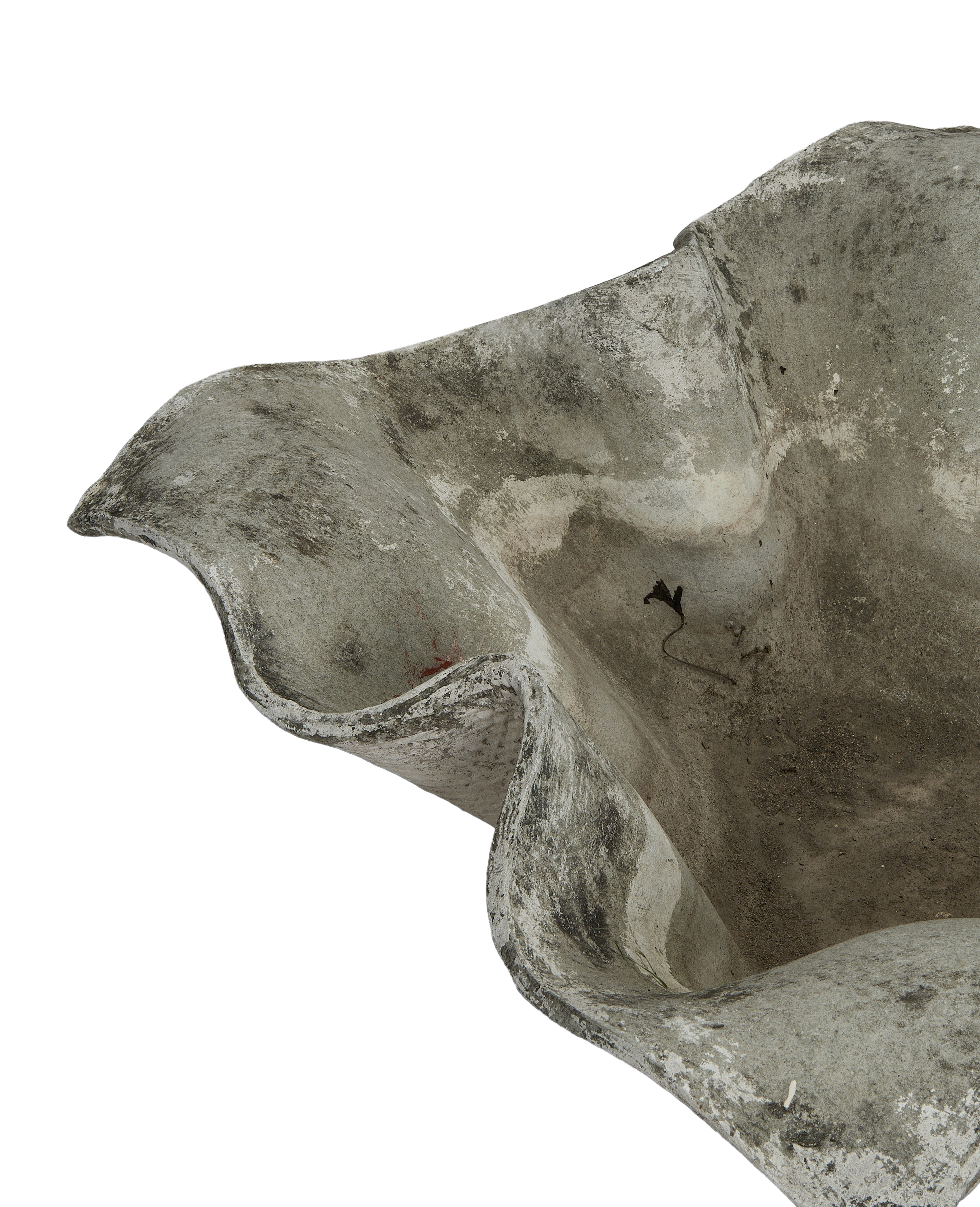 Olive Ateliers - Willy Guhl Planter - Elephant
