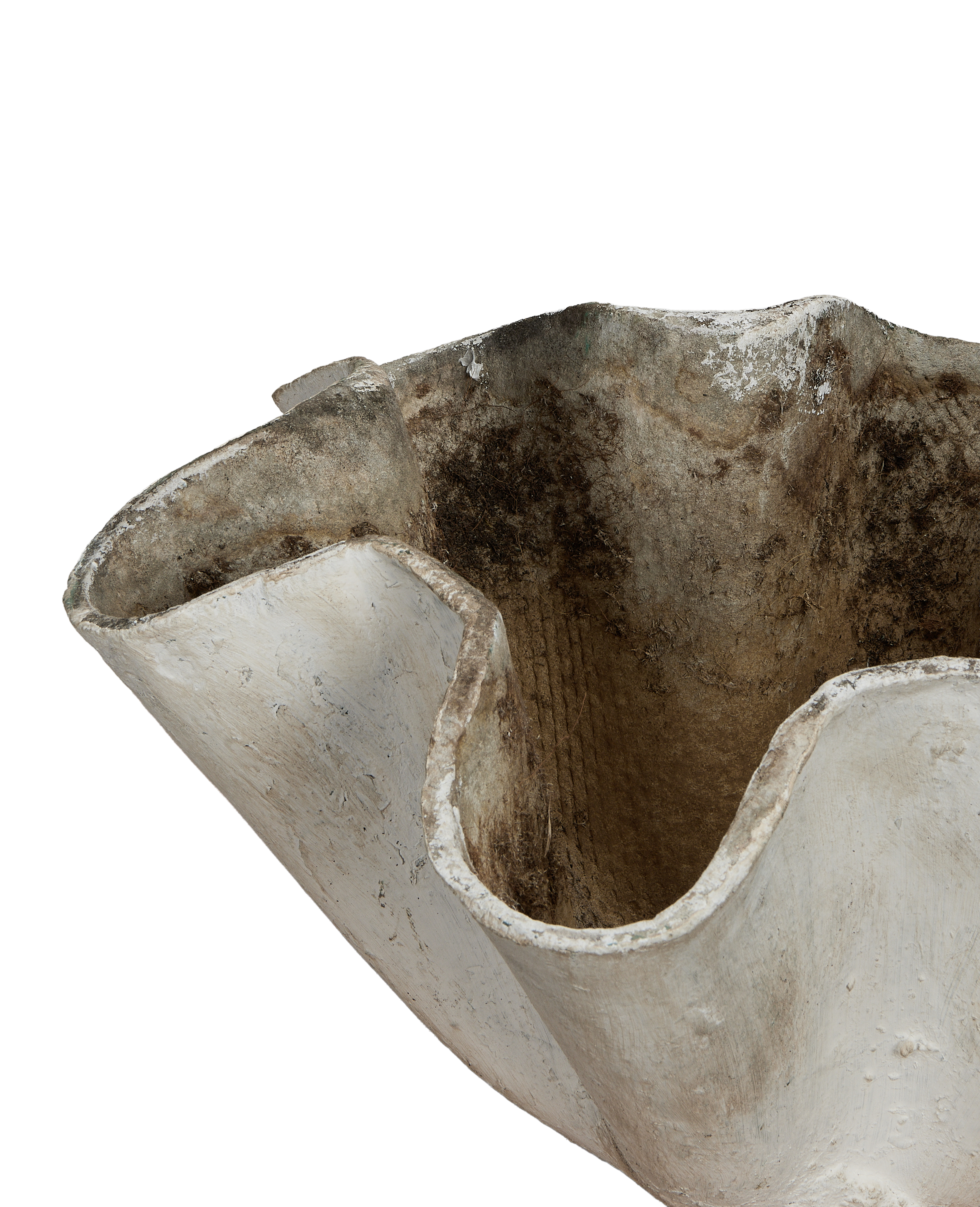 Olive Ateliers - Willy Guhl Planter - Organic