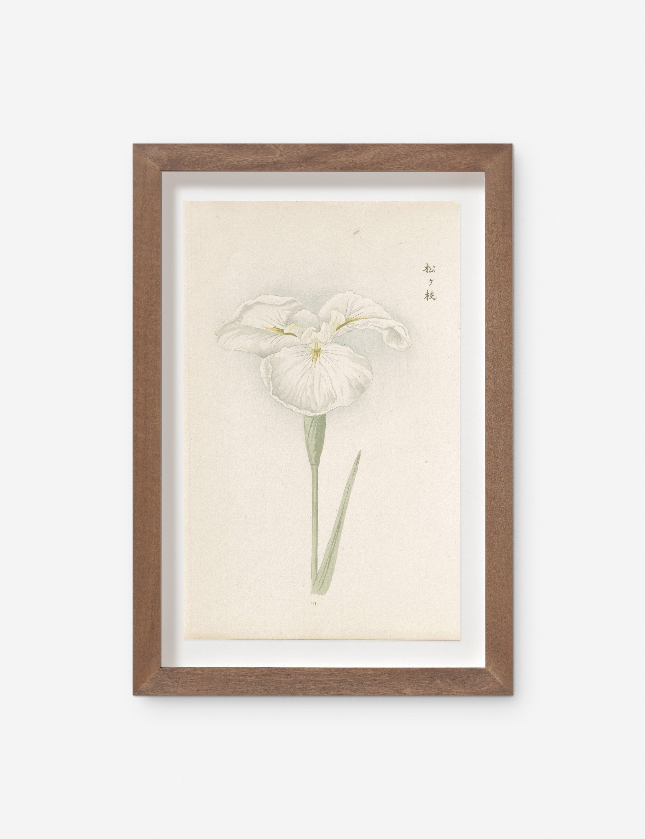 Lulu and Georgia - Vintage Japanese Iris No. 10 Wall Art by Miyoshi Manabu