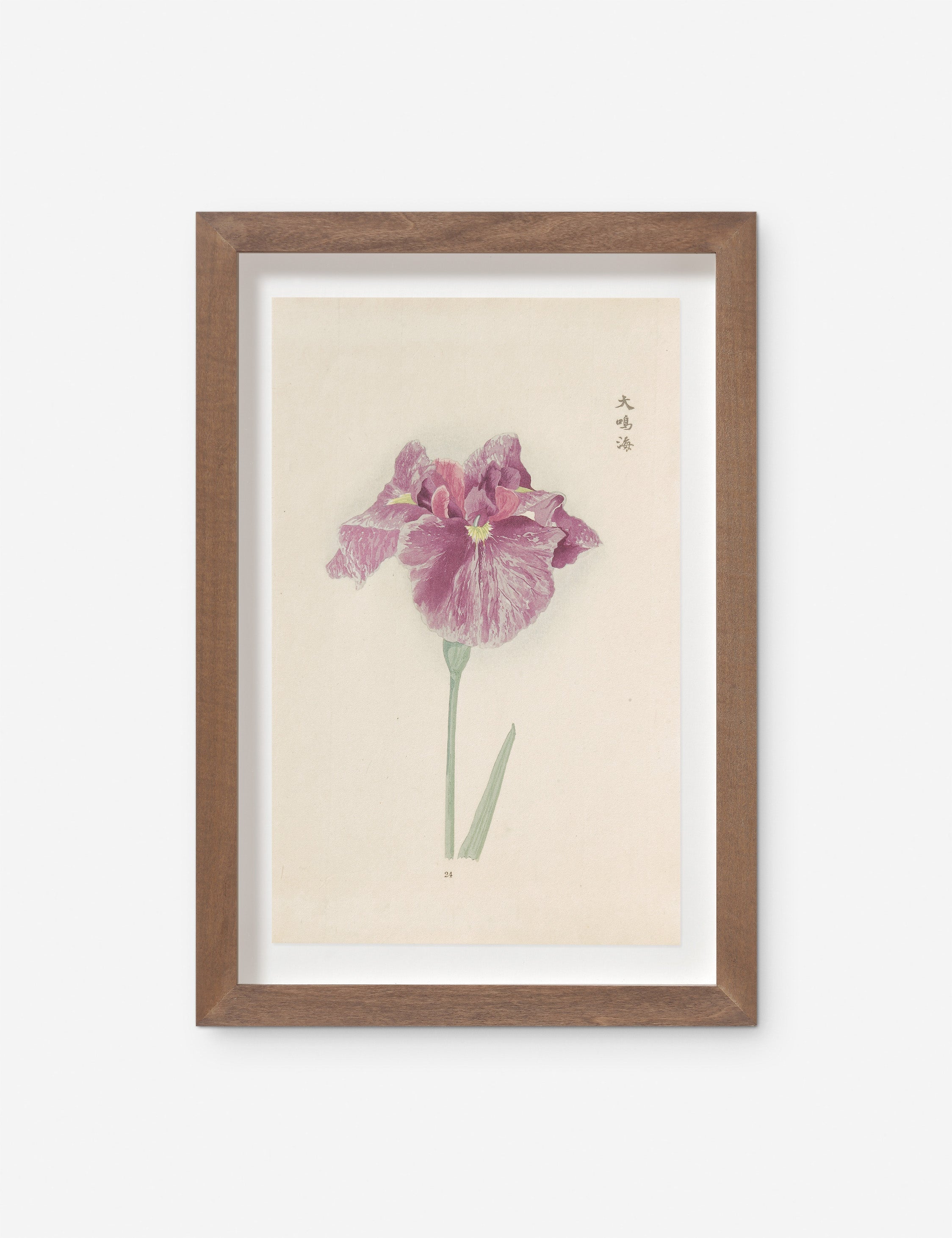 Lulu and Georgia - Vintage Japanese Iris No. 24 Wall Art by Miyoshi Manabu