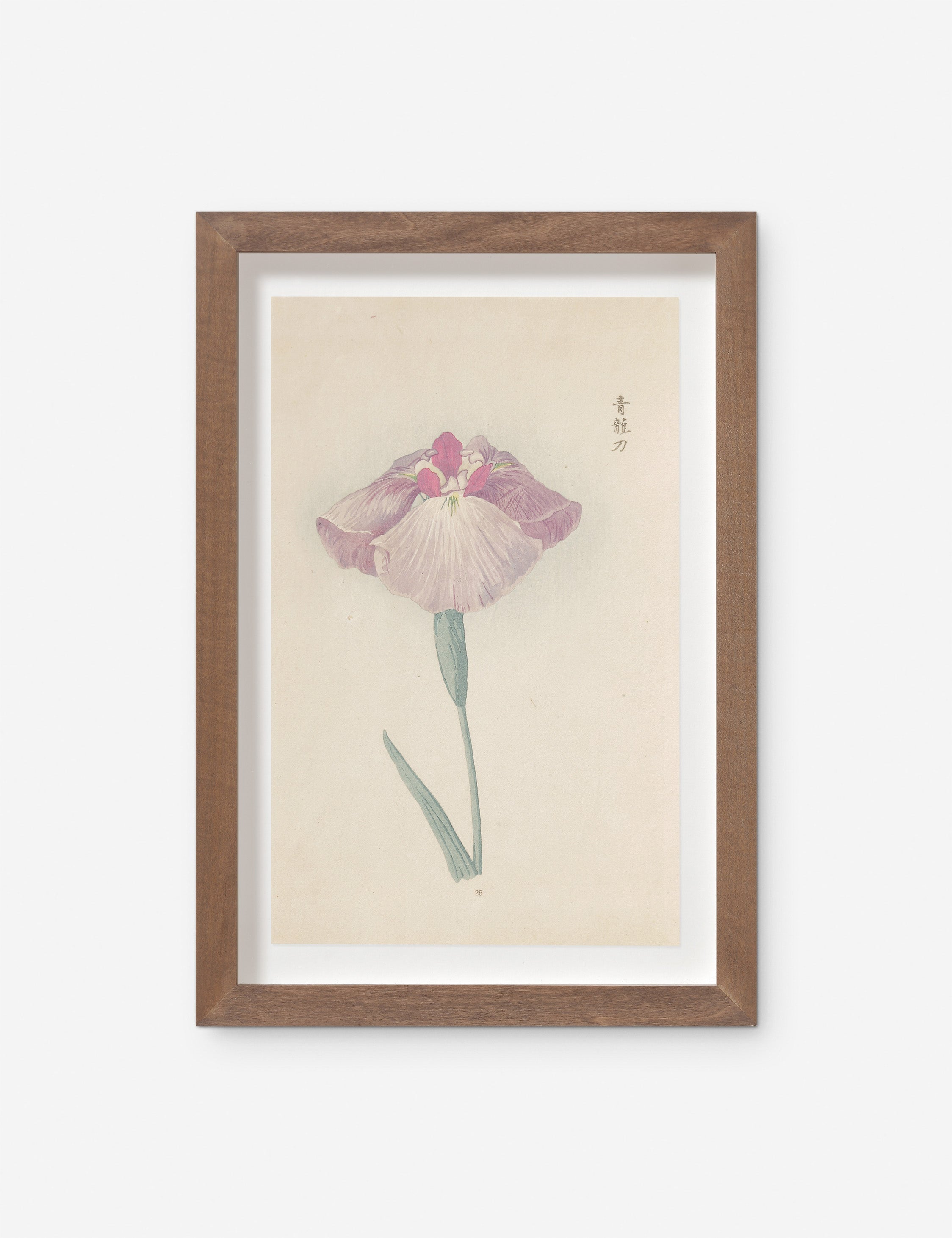 Lulu and Georgia - Vintage Japanese Iris No. 25 Wall Art by Miyoshi Manabu