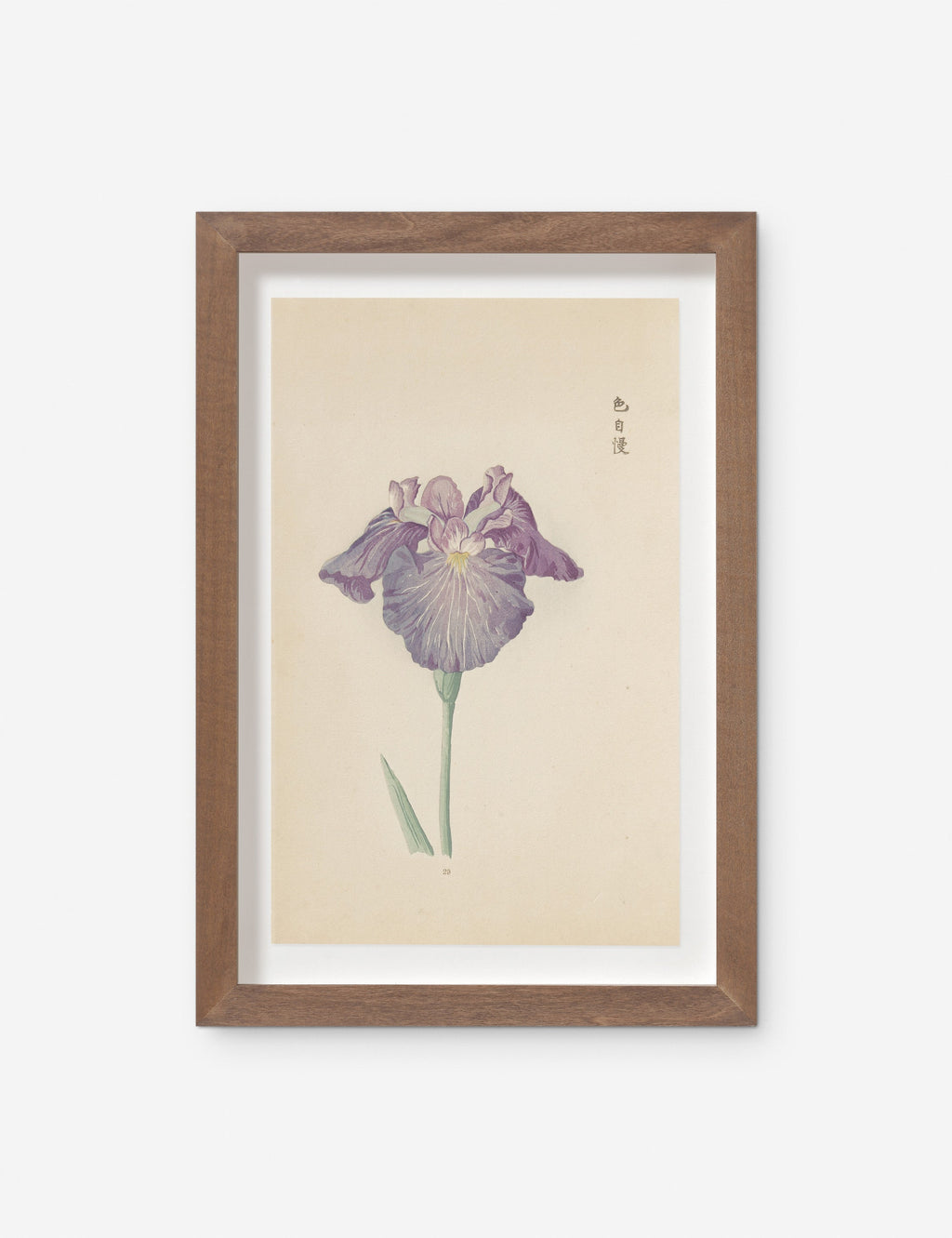 Lulu and Georgia - Vintage Japanese Iris No. 29 Wall Art by Miyoshi Manabu