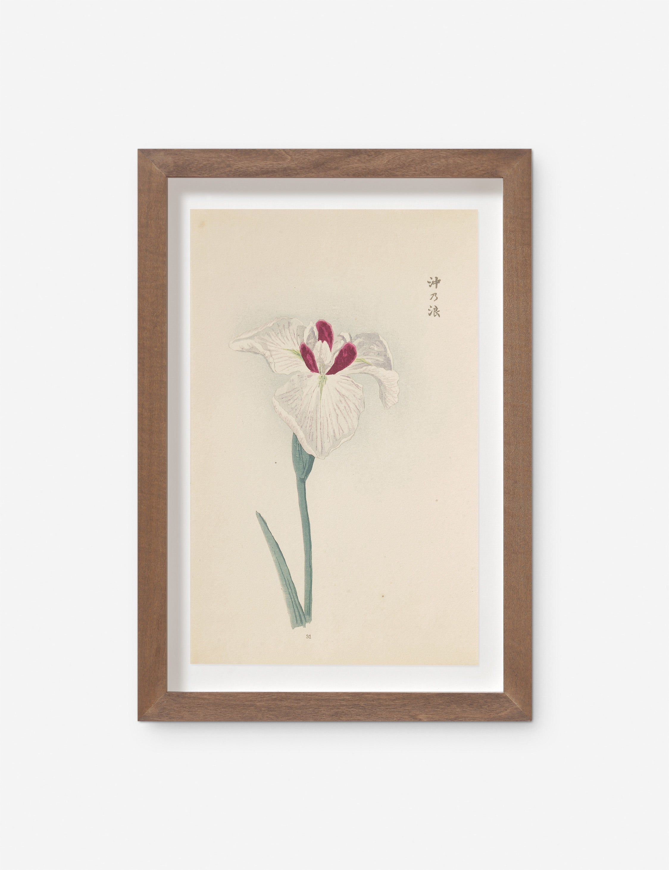 Lulu and Georgia - Vintage Japanese Iris No. 31 Wall Art by Miyoshi Manabu