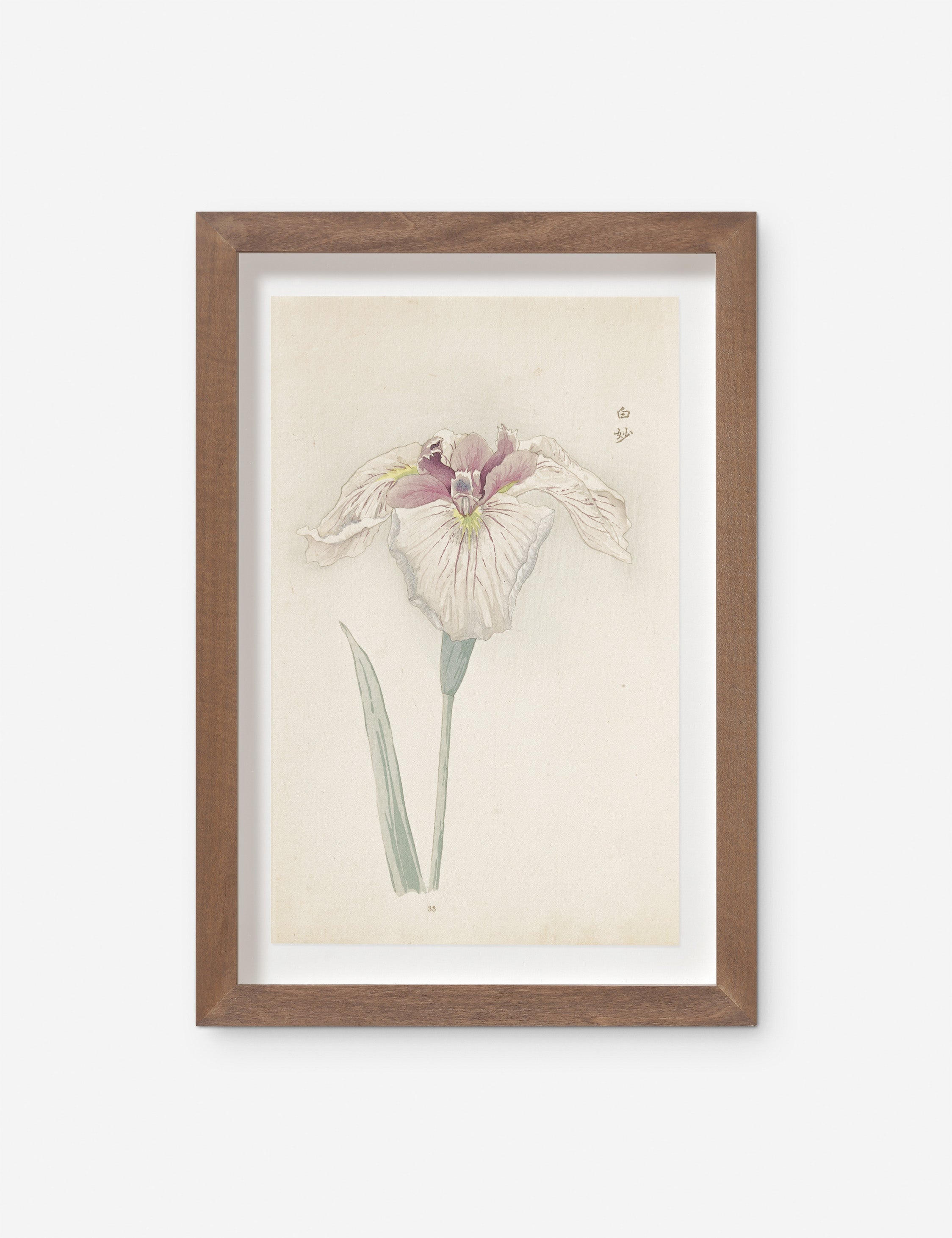 Lulu and Georgia - Vintage Japanese Iris No. 33 Wall Art by Miyoshi Manabu