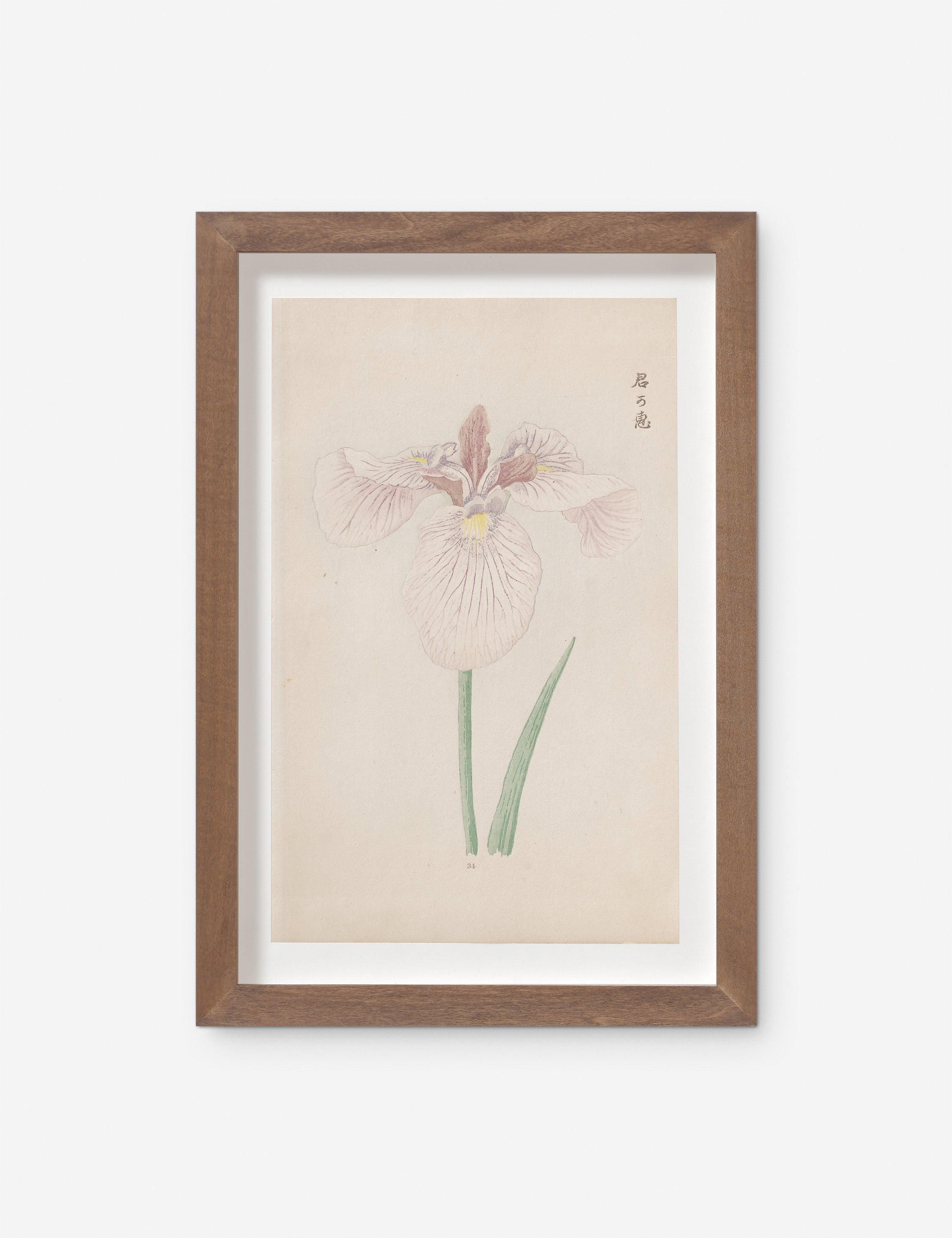 Lulu and Georgia - Vintage Japanese Iris No. 34 Wall Art by Miyoshi Manabu
