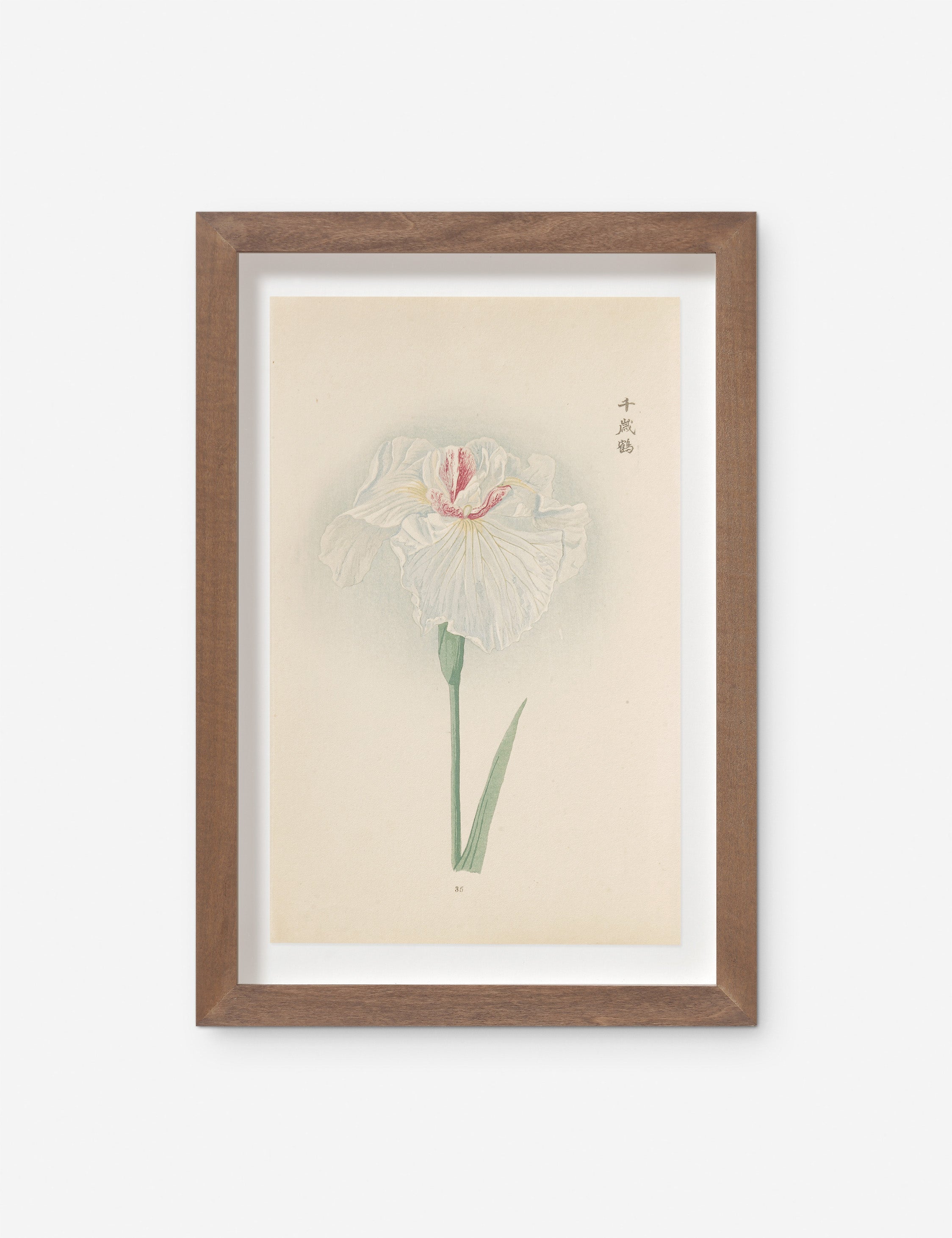 Lulu and Georgia - Vintage Japanese Iris No. 35 Wall Art by Miyoshi Manabu