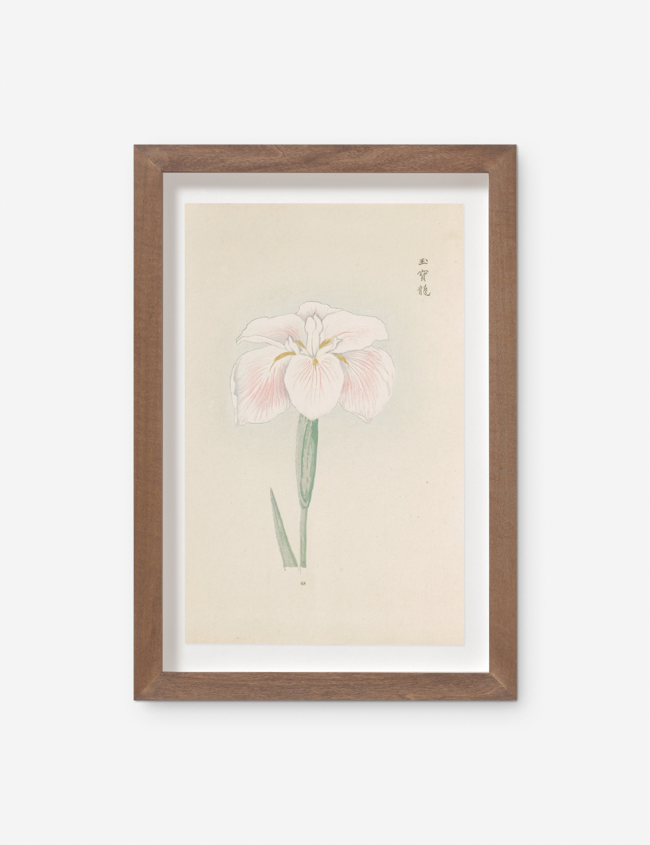 Lulu and Georgia - Vintage Japanese Iris No. 48 Wall Art by Miyoshi Manabu
