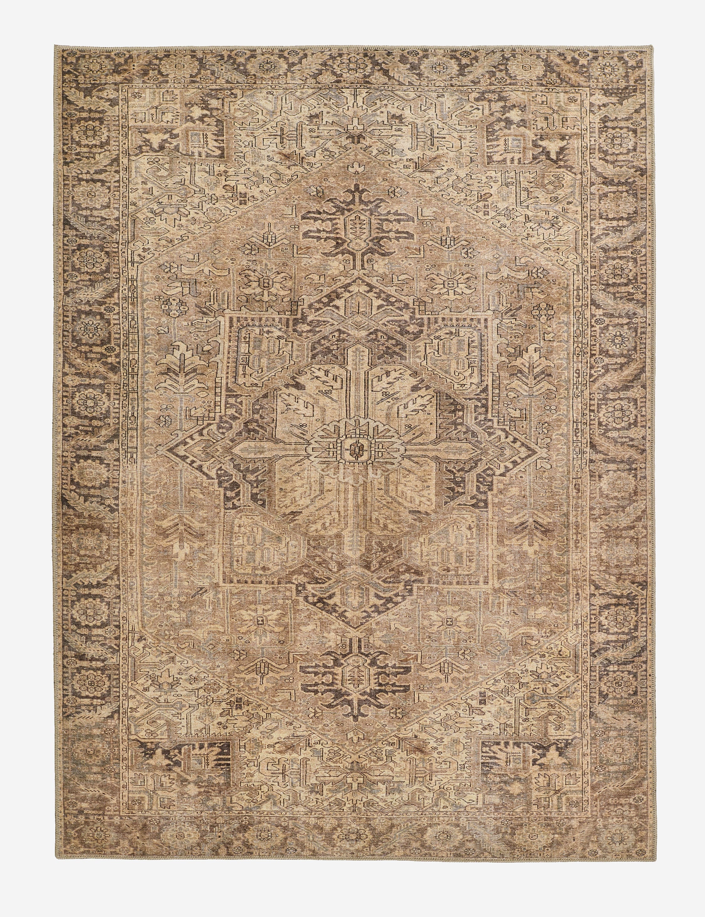 Lulu and Georgia - Akins Rug