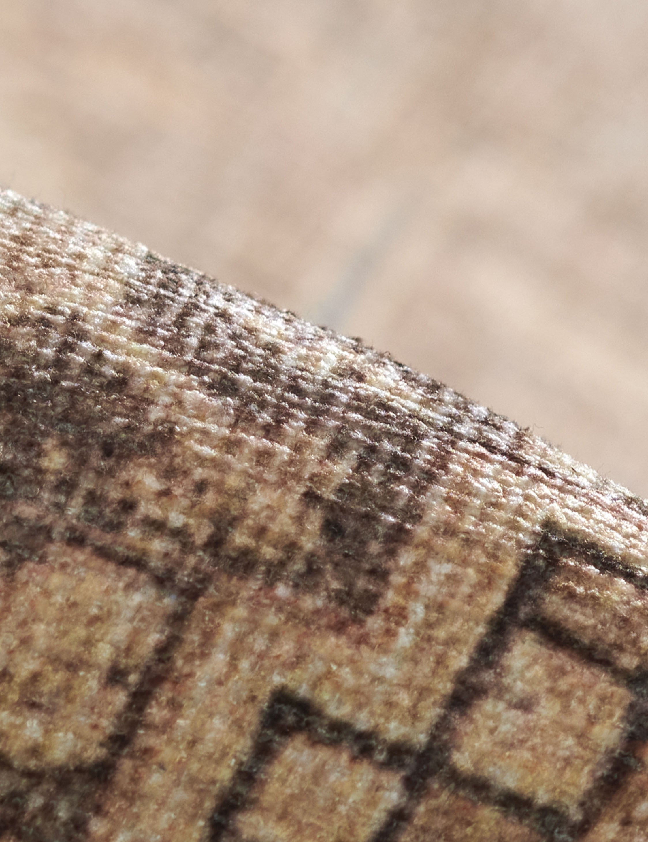 Lulu and Georgia - Akins Rug