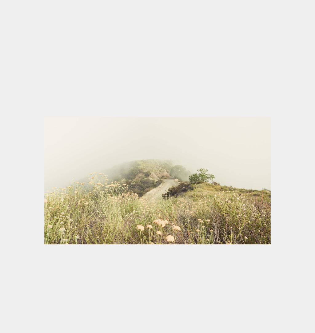 Amber Interiors - Morning Glory - Pacific Palisades