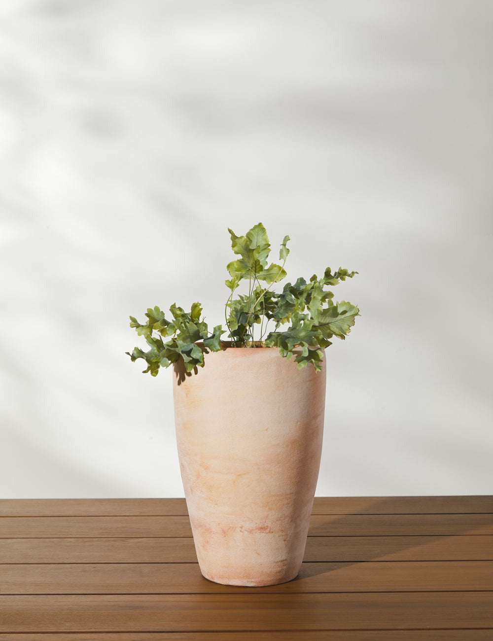 Lulu and Georgia - Abrielle Planter (Set of 2) by Campania International