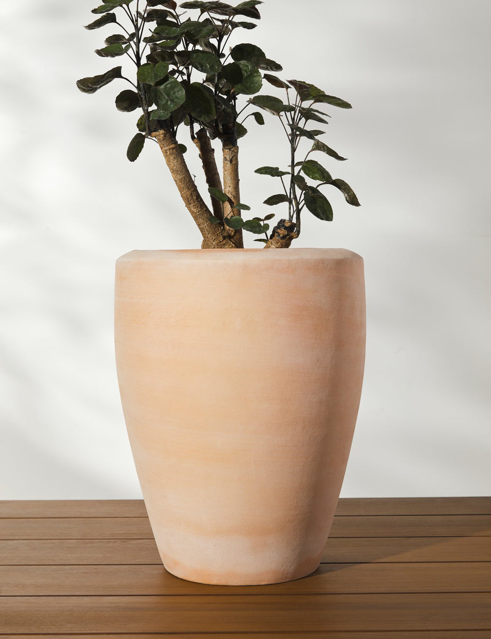 Lulu and Georgia - Abrielle Planter (Set of 2) by Campania International