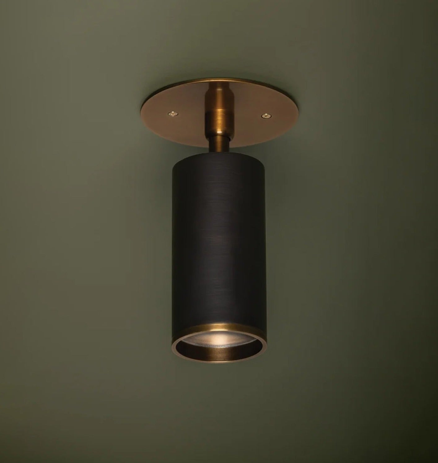 Amber Interiors - Albion Flush Mount Brass