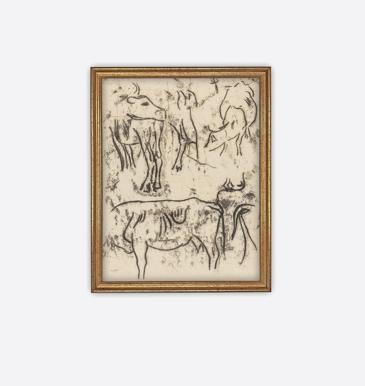 Amber Interiors - Animal Studies Framed Print 11" x 14" Black