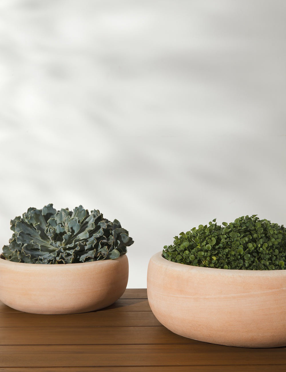 Lulu and Georgia - Annalise Planter (Set of 2) by Campania International