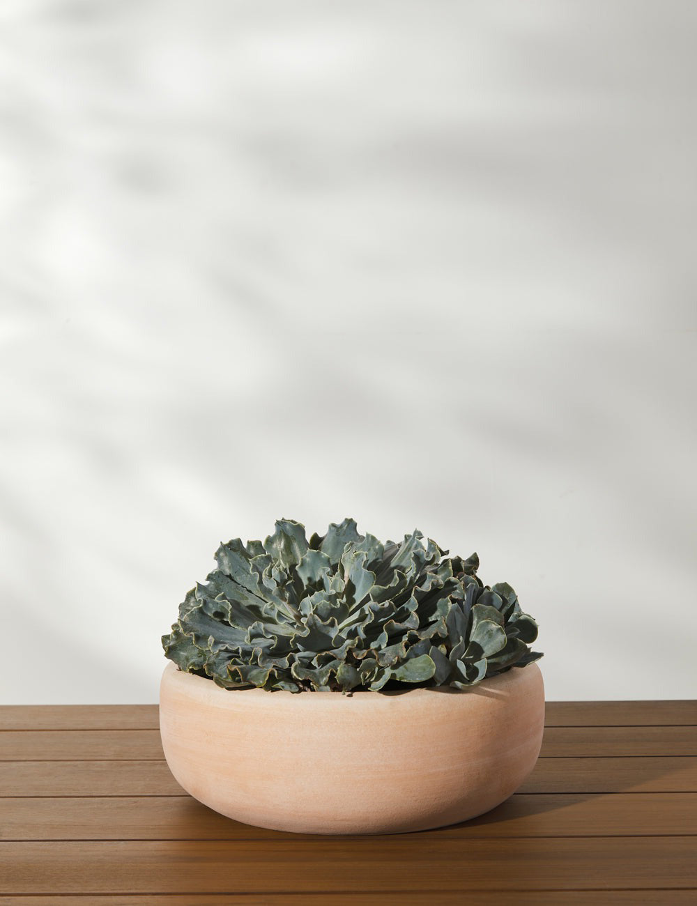 Lulu and Georgia - Annalise Planter (Set of 2) by Campania International