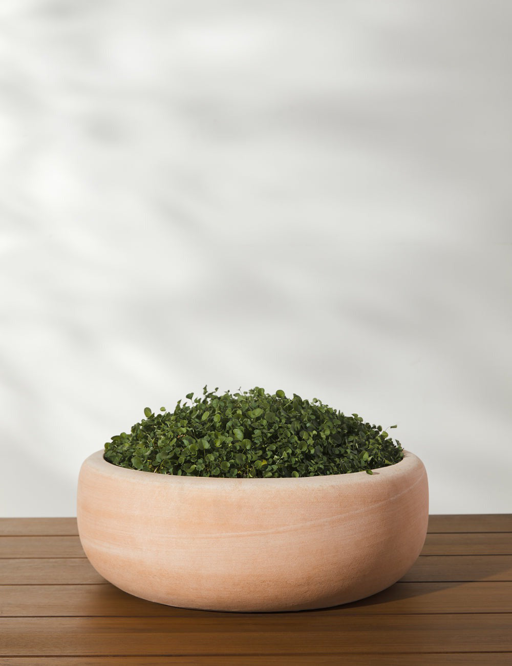 Lulu and Georgia - Annalise Planter (Set of 2) by Campania International