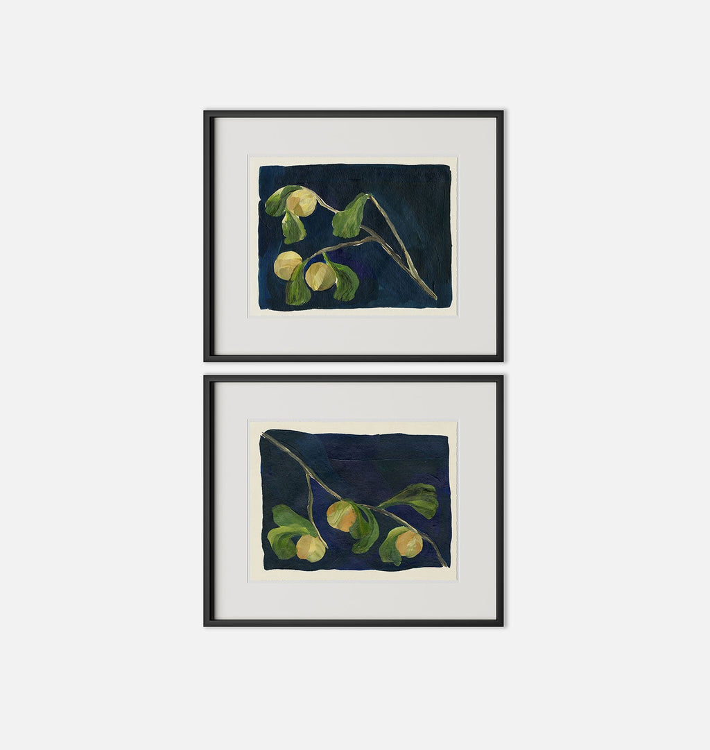 Amber Interiors - Apricot Diptych I Framed Print