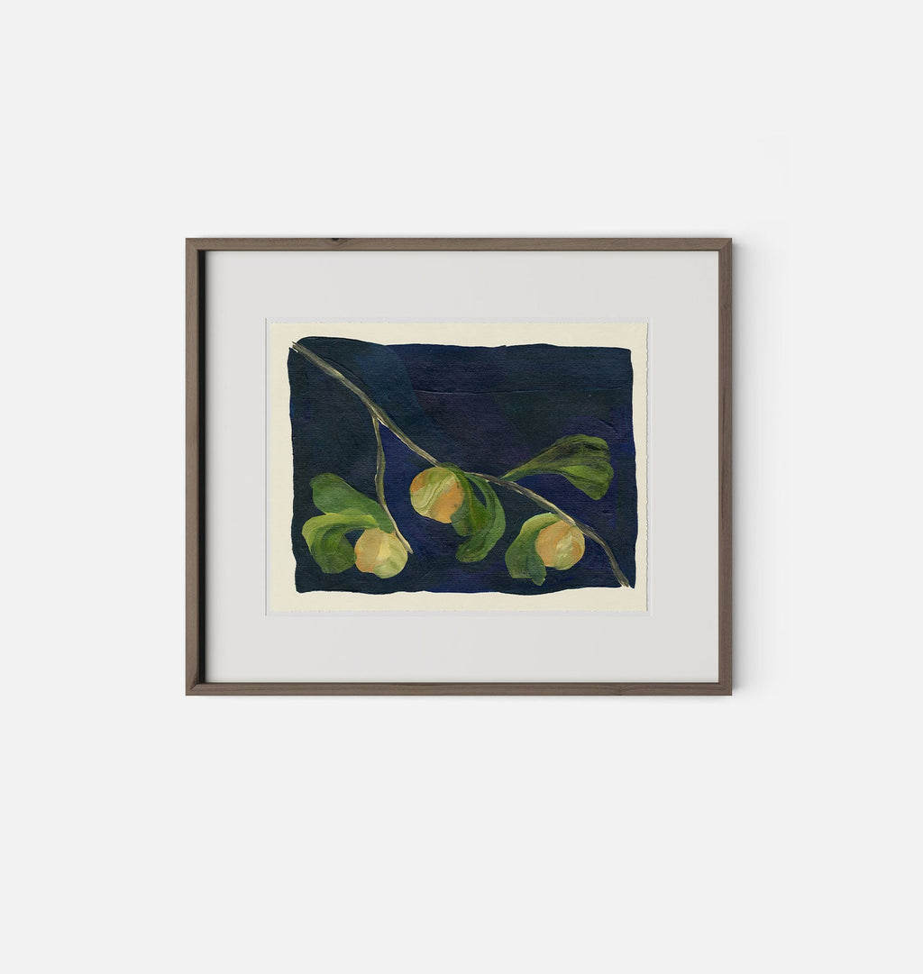 Amber Interiors - Apricot V Framed Print