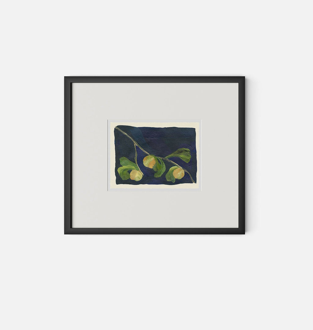 Amber Interiors - Apricot V Framed Print