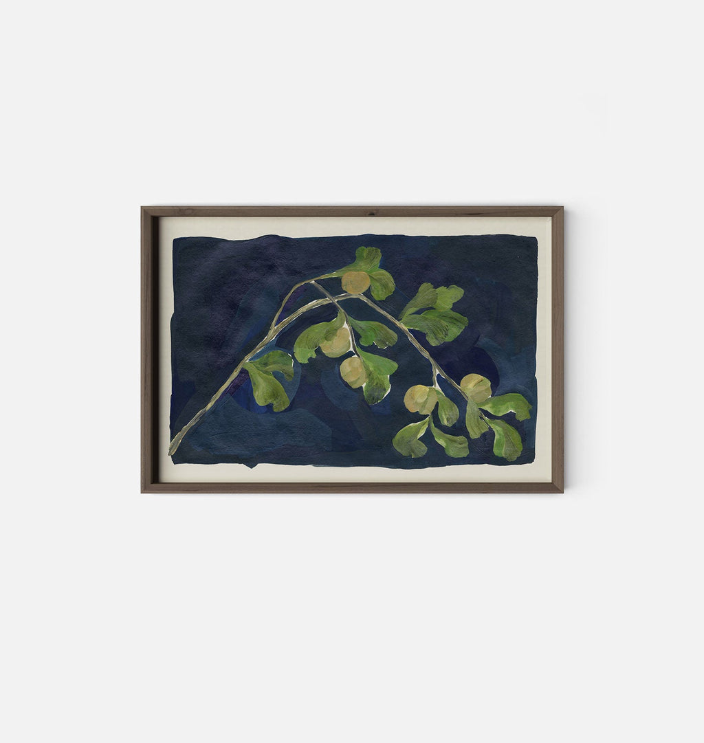Amber Interiors - Apricot XII Framed Print