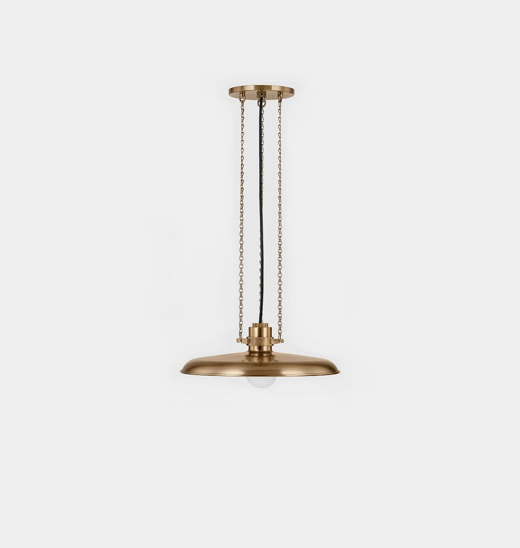Amber Interiors - Aster Pendant Brass