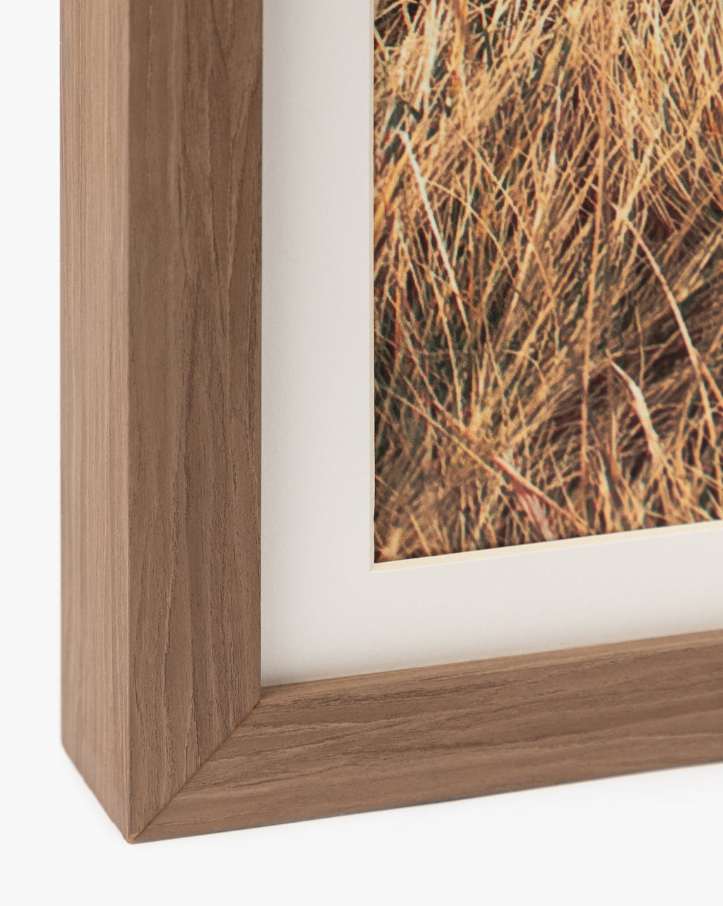 McGee & Co - Autumn Marshes