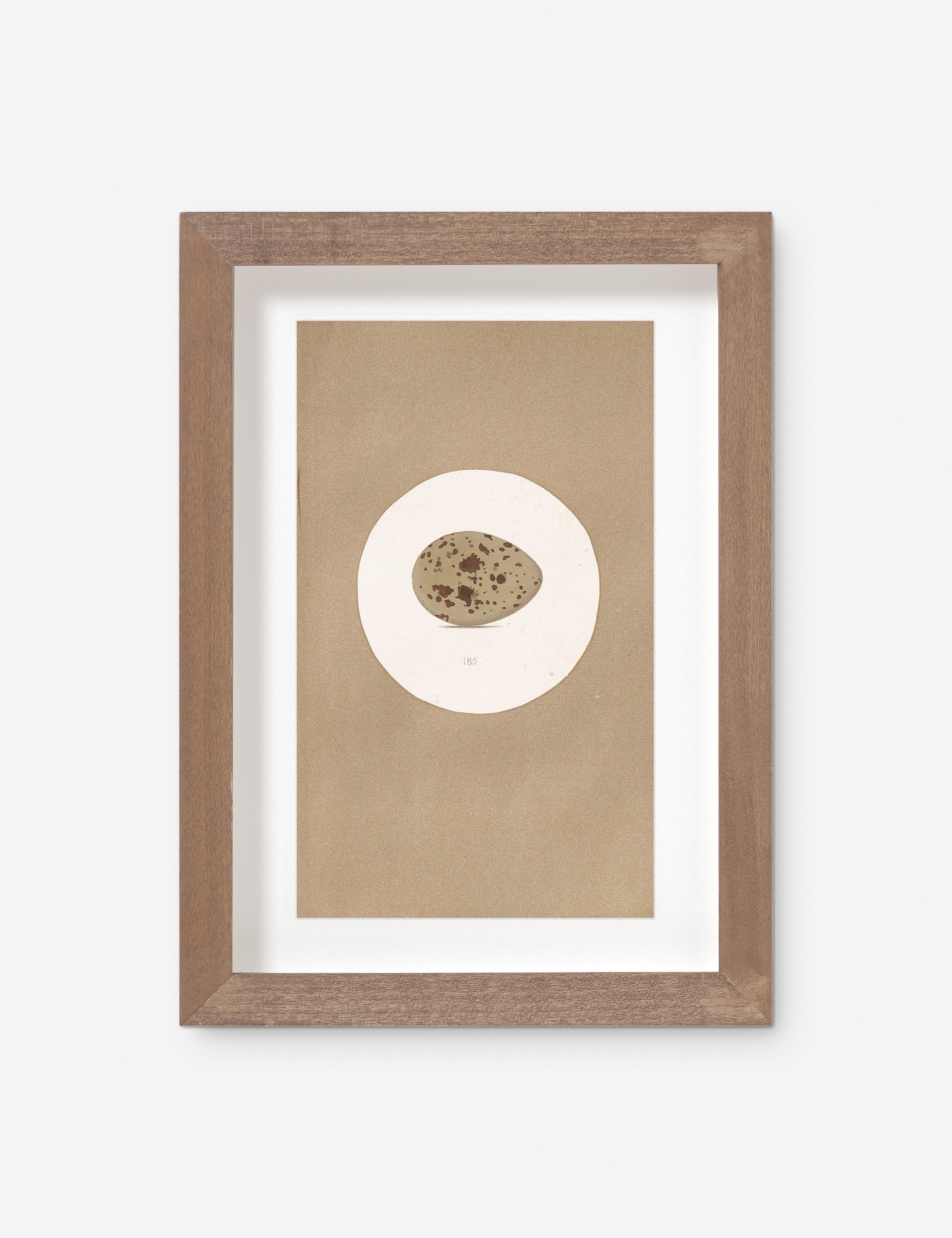 Lulu and Georgia - Vintage Bird Watercolor No. 185 Wall Art by Visual Contrast