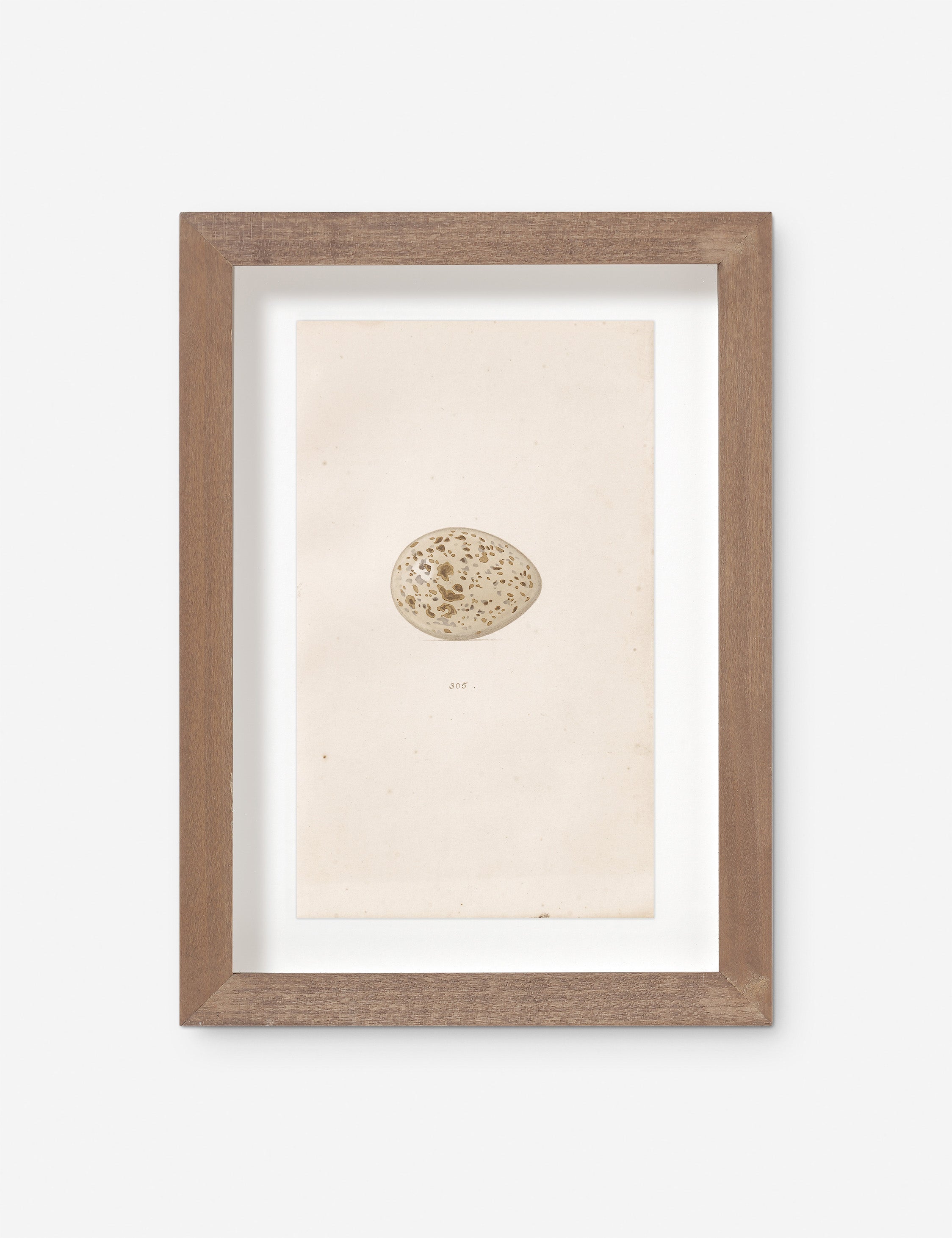 Lulu and Georgia - Vintage Bird Watercolor No. 305 Wall Art by Visual Contrast