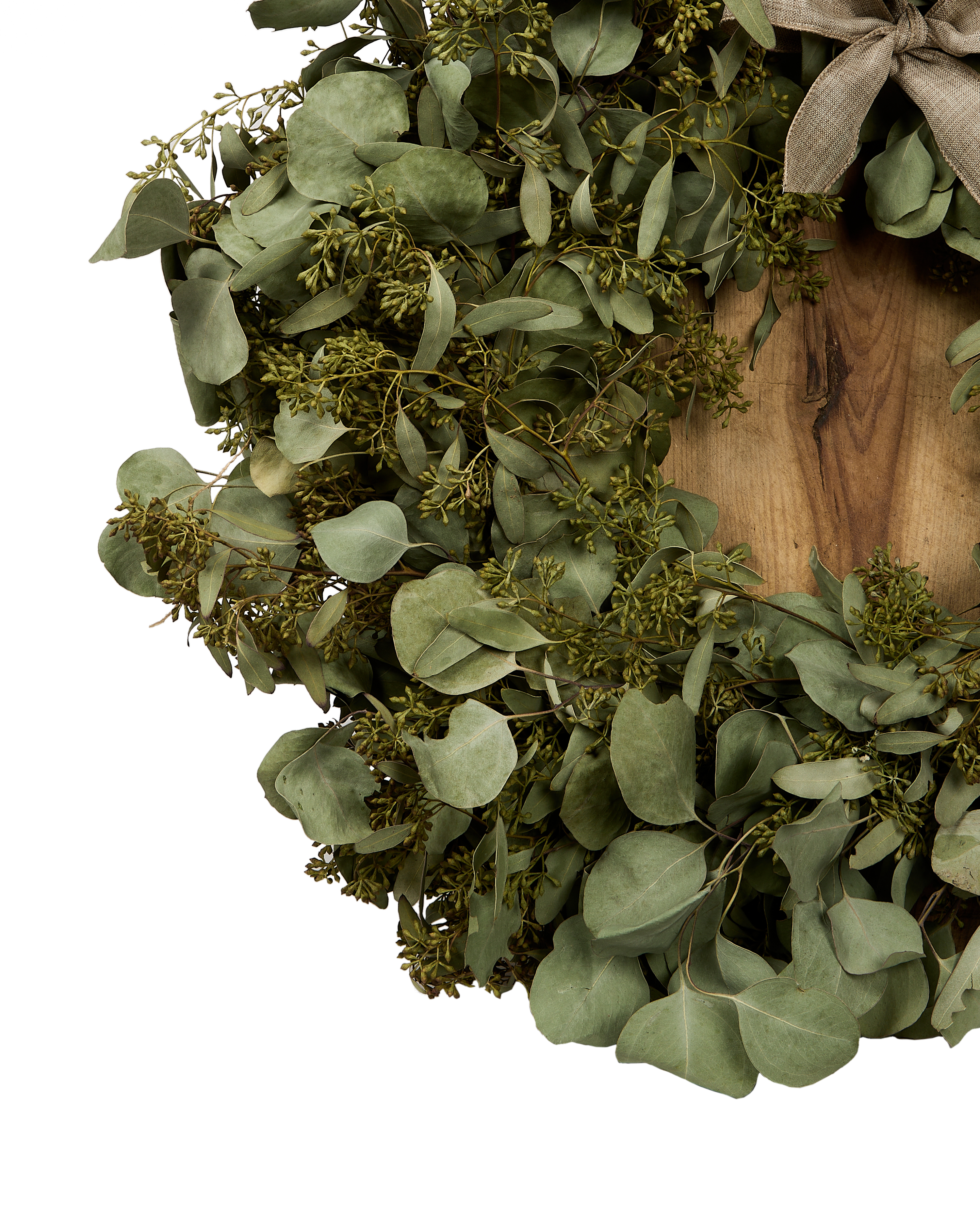 Olive Ateliers - The Matriarch Bundle